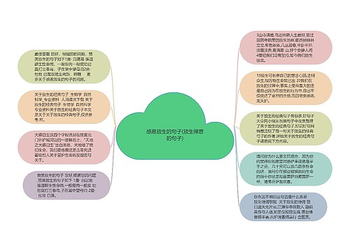感恩放生的句子(放生禅意的句子)