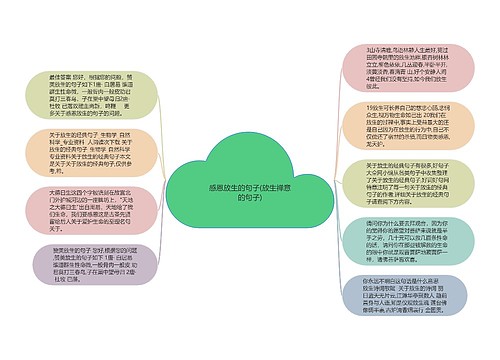 感恩放生的句子(放生禅意的句子)