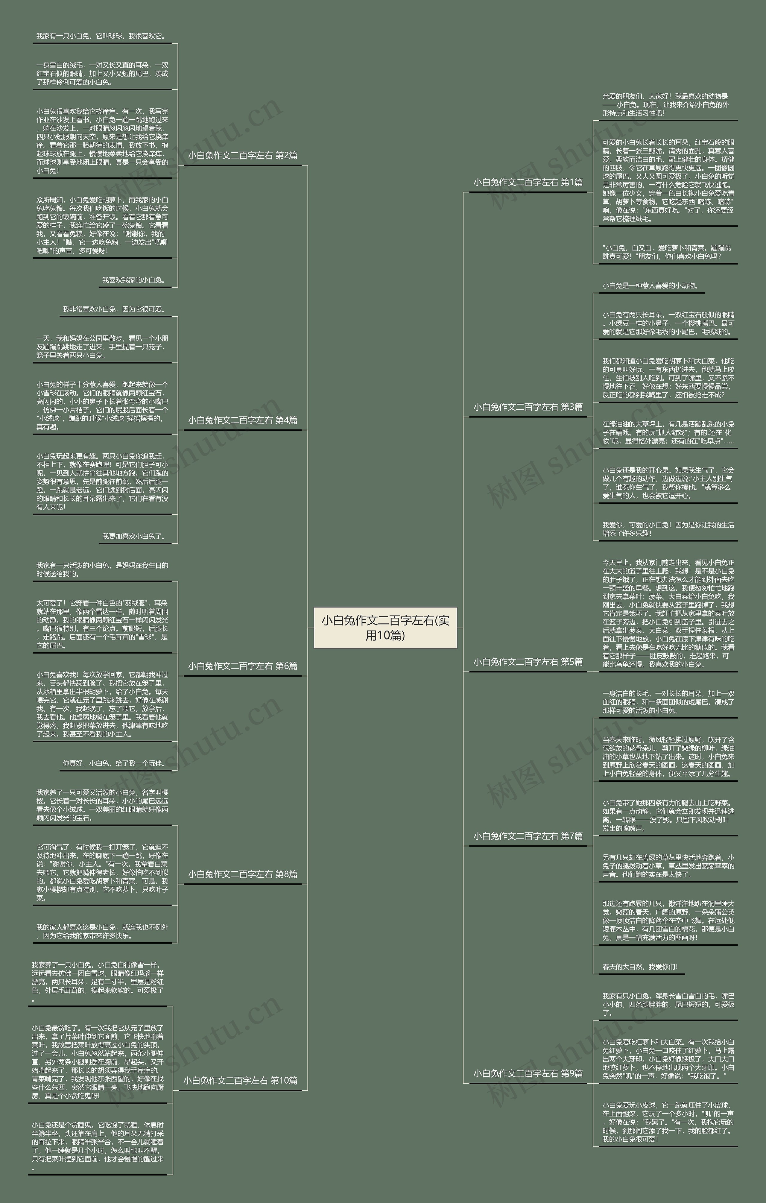 小白兔作文二百字左右(实用10篇) 小白兔作文二百字左右(实用10篇)