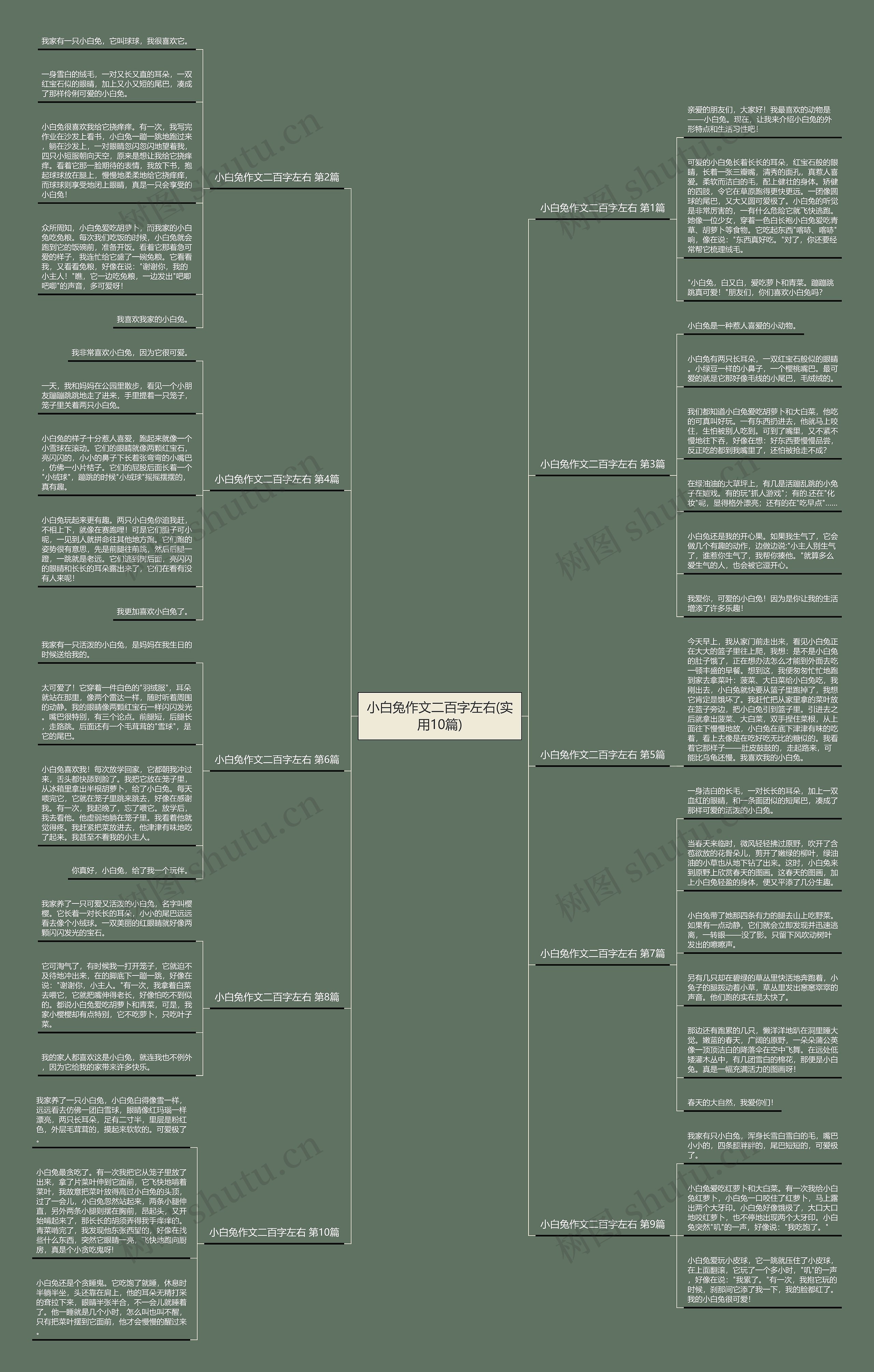 小白兔作文二百字左右(实用10篇)思维导图