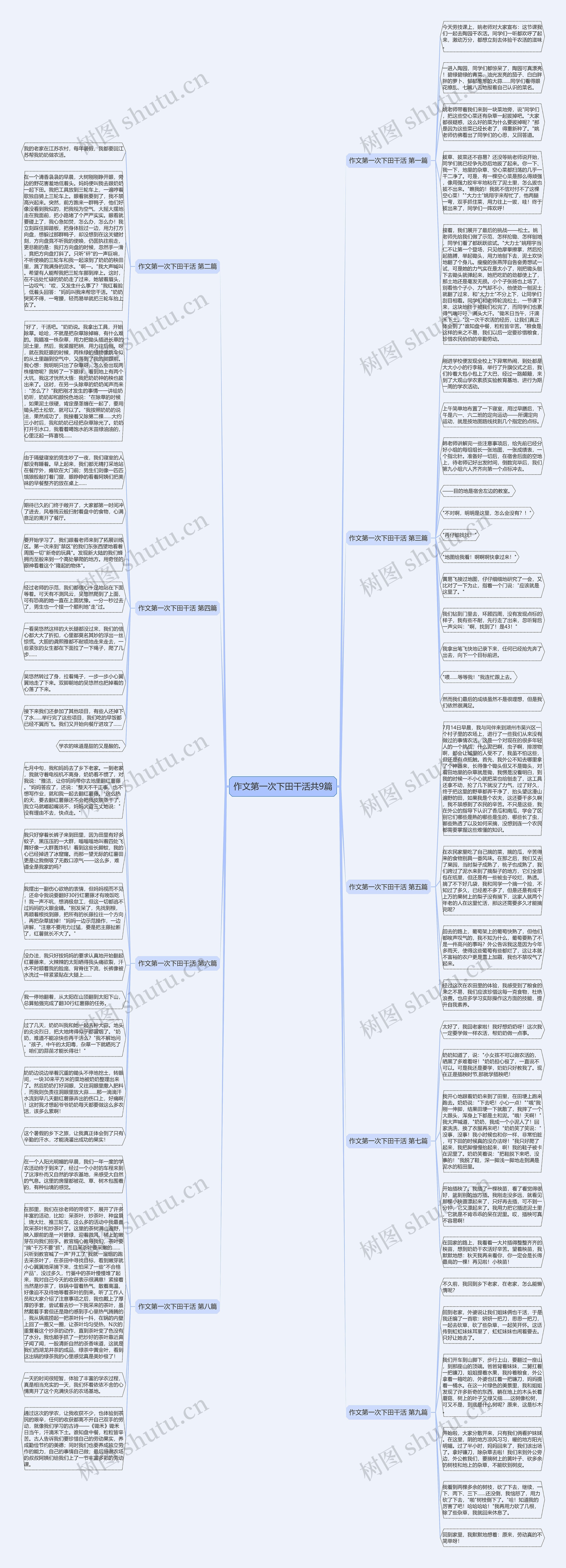 作文第一次下田干活共9篇思维导图