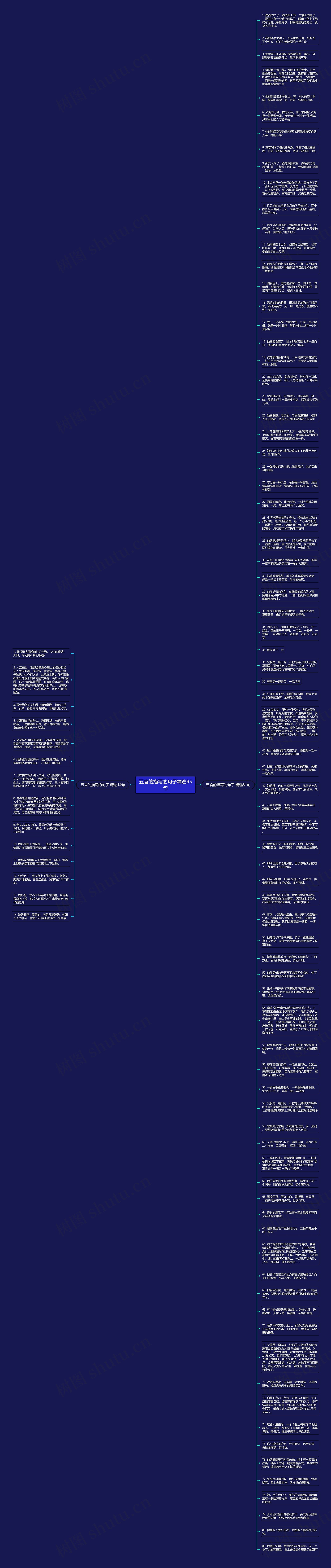 五官的描写的句子精选95句思维导图