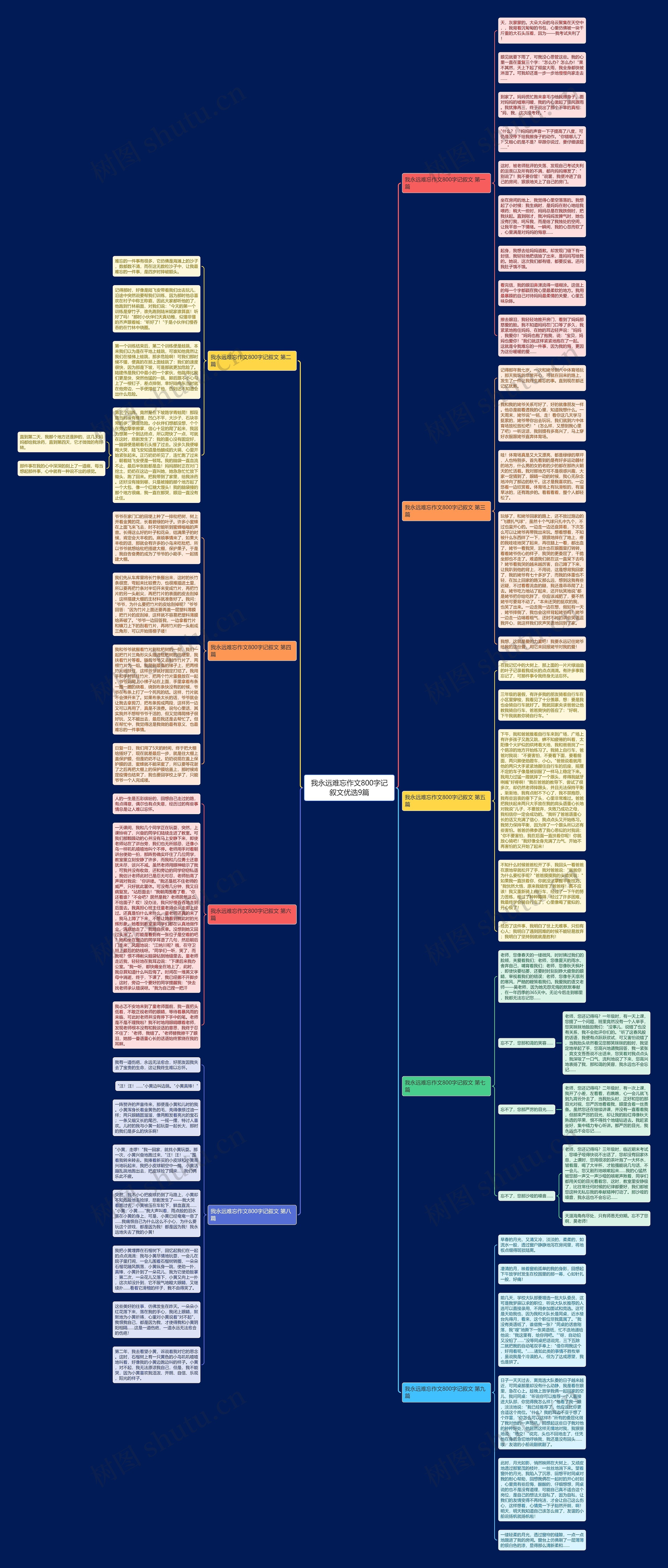 我永远难忘作文800字记叙文优选9篇思维导图