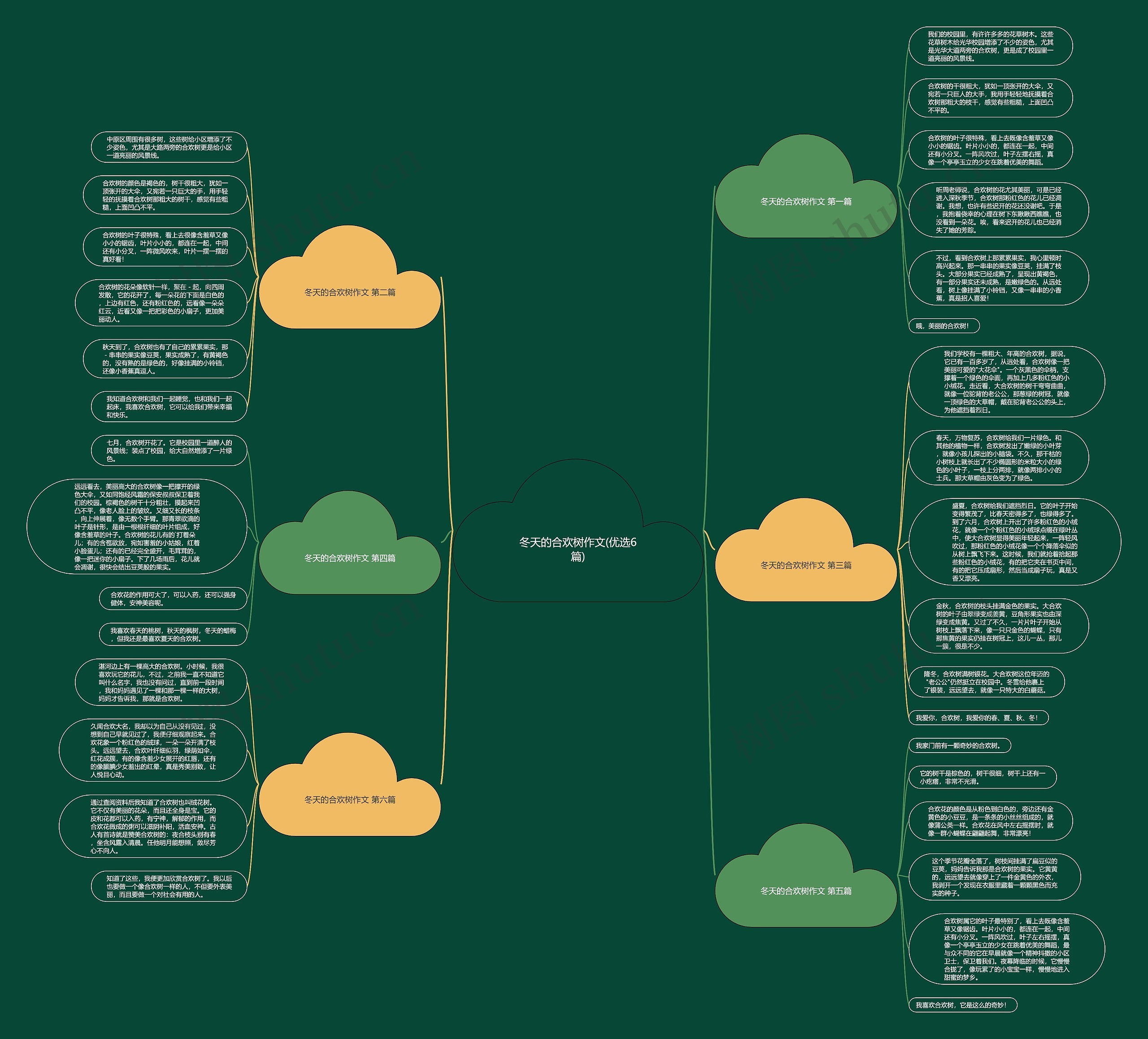 冬天的合欢树作文(优选6篇)思维导图