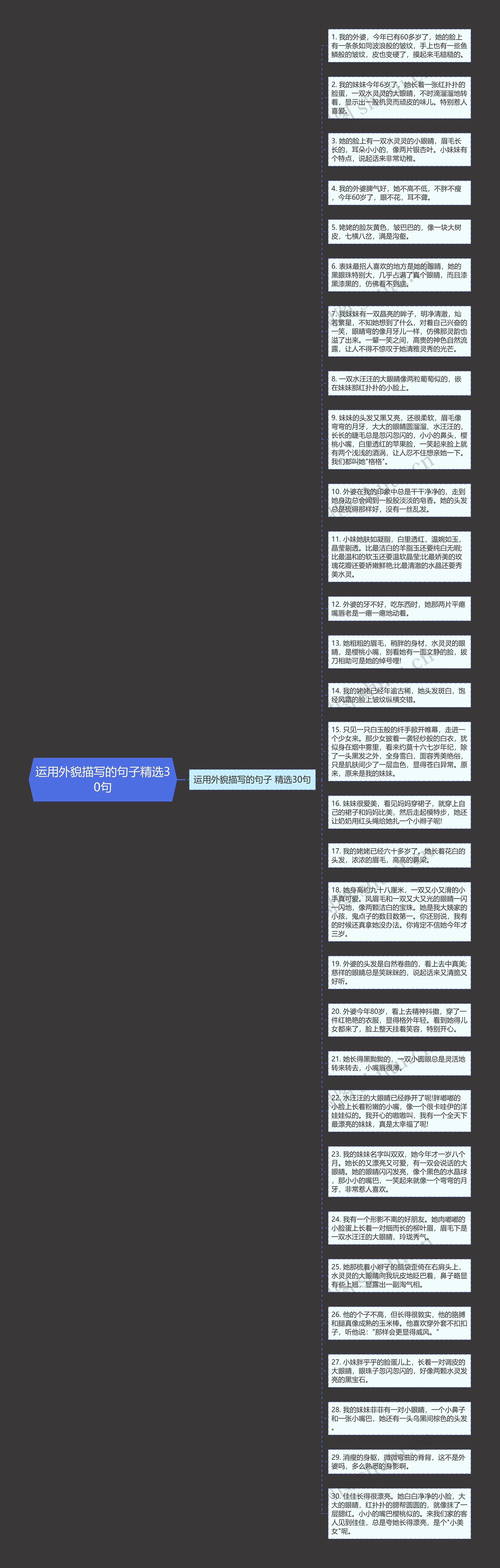 运用外貌描写的句子精选30句思维导图