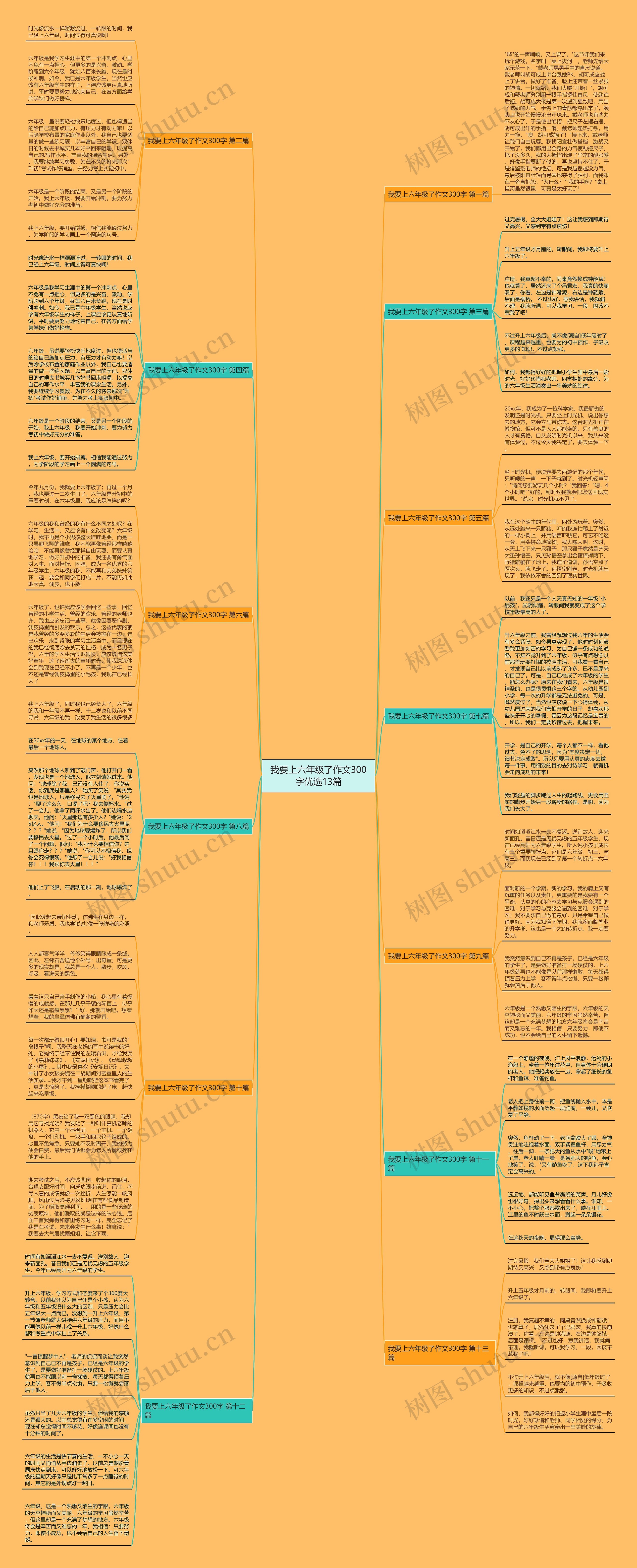 我要上六年级了作文300字优选13篇思维导图
