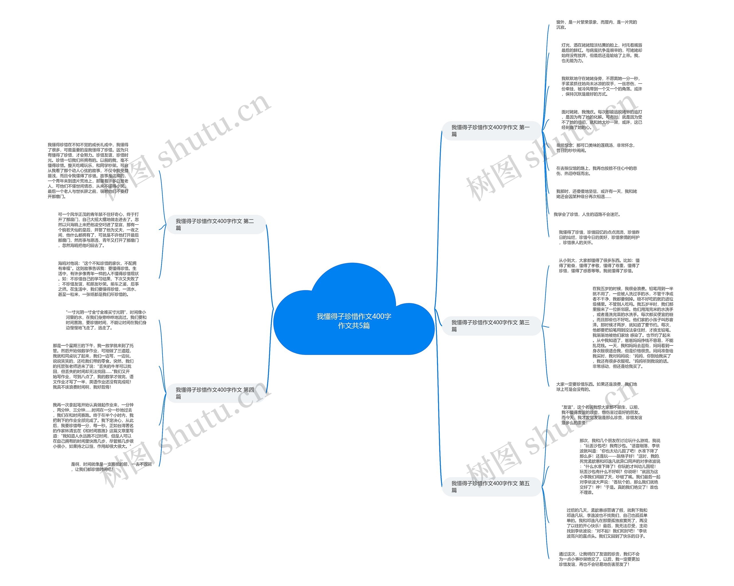 我懂得子珍惜作文400字作文共5篇思维导图