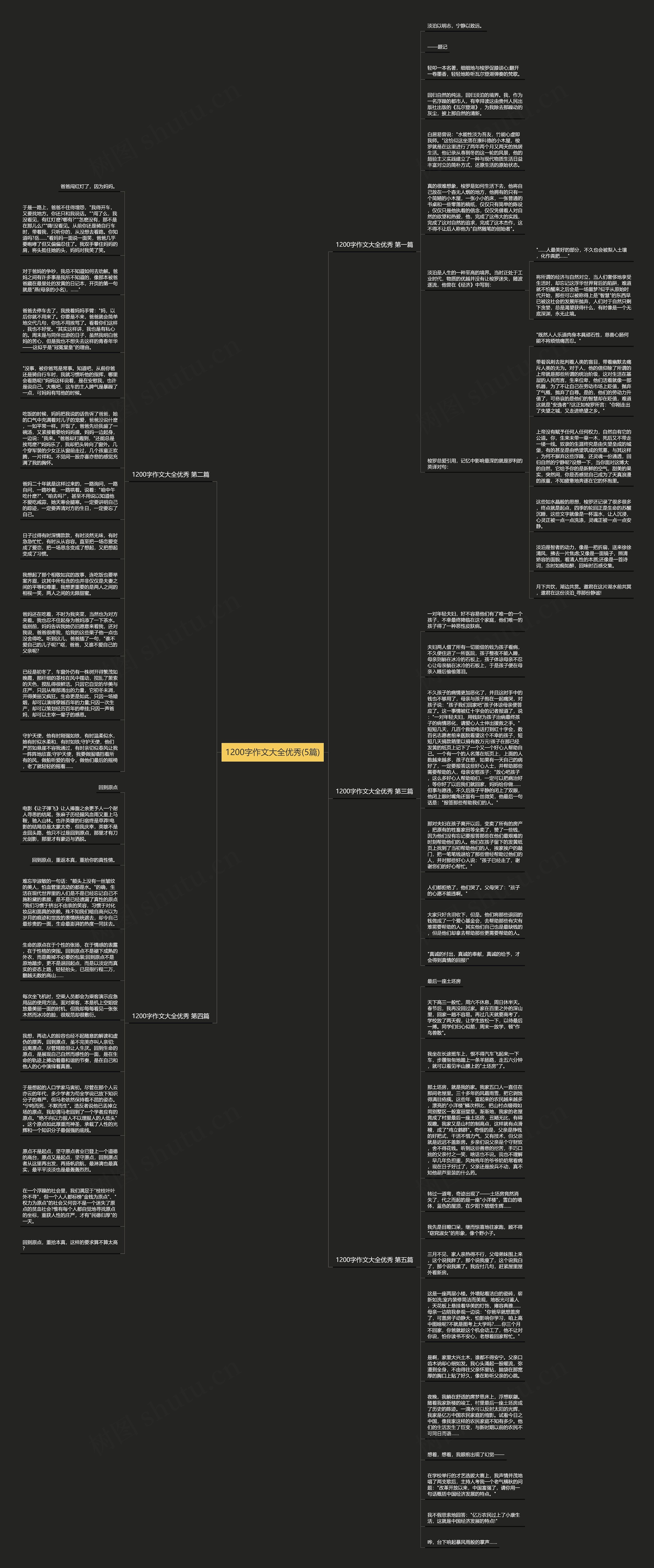 1200字作文大全优秀(5篇)思维导图