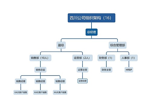 四川公司组织架构图（16）