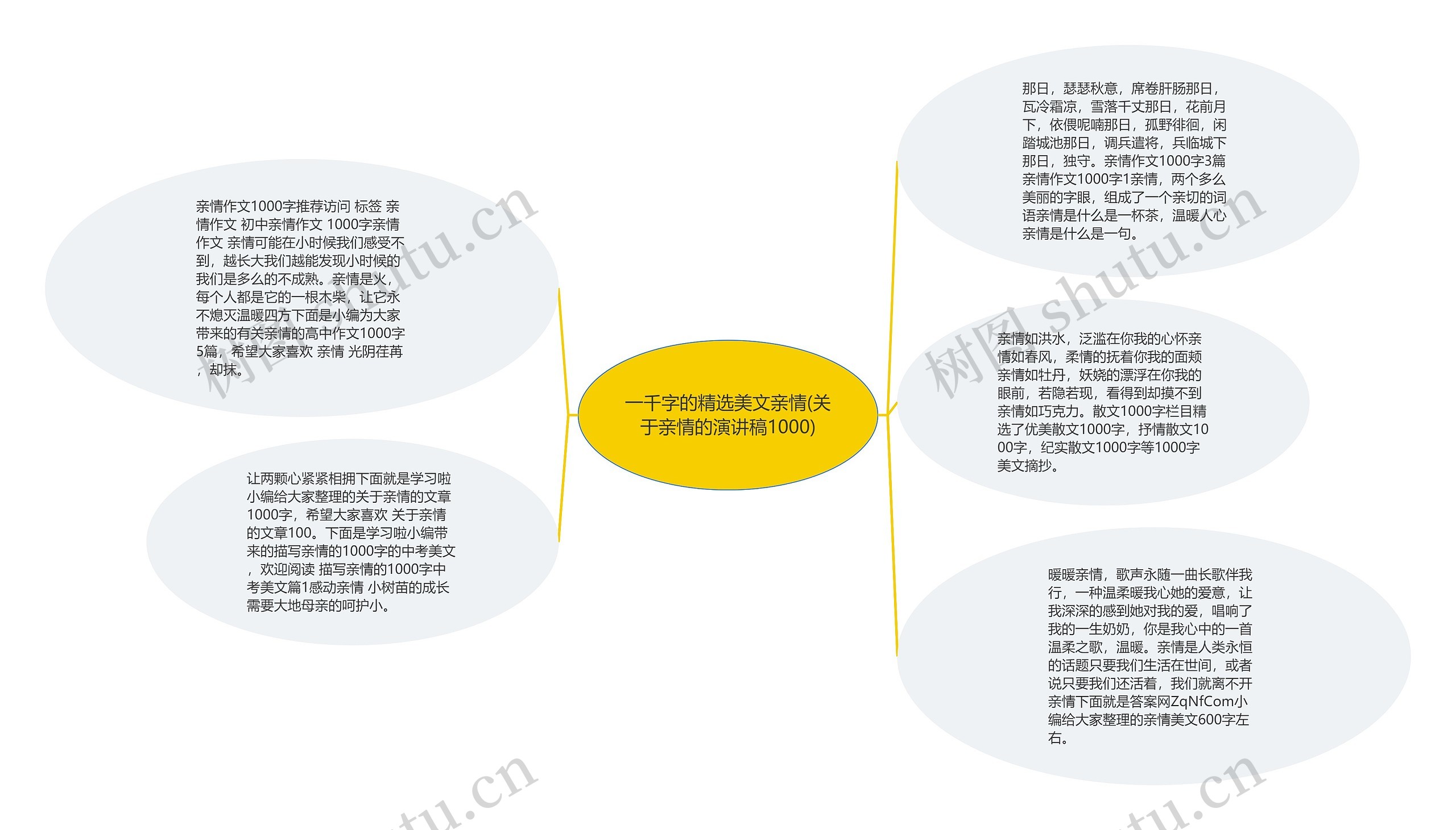 一千字的精选美文亲情(关于亲情的演讲稿1000)