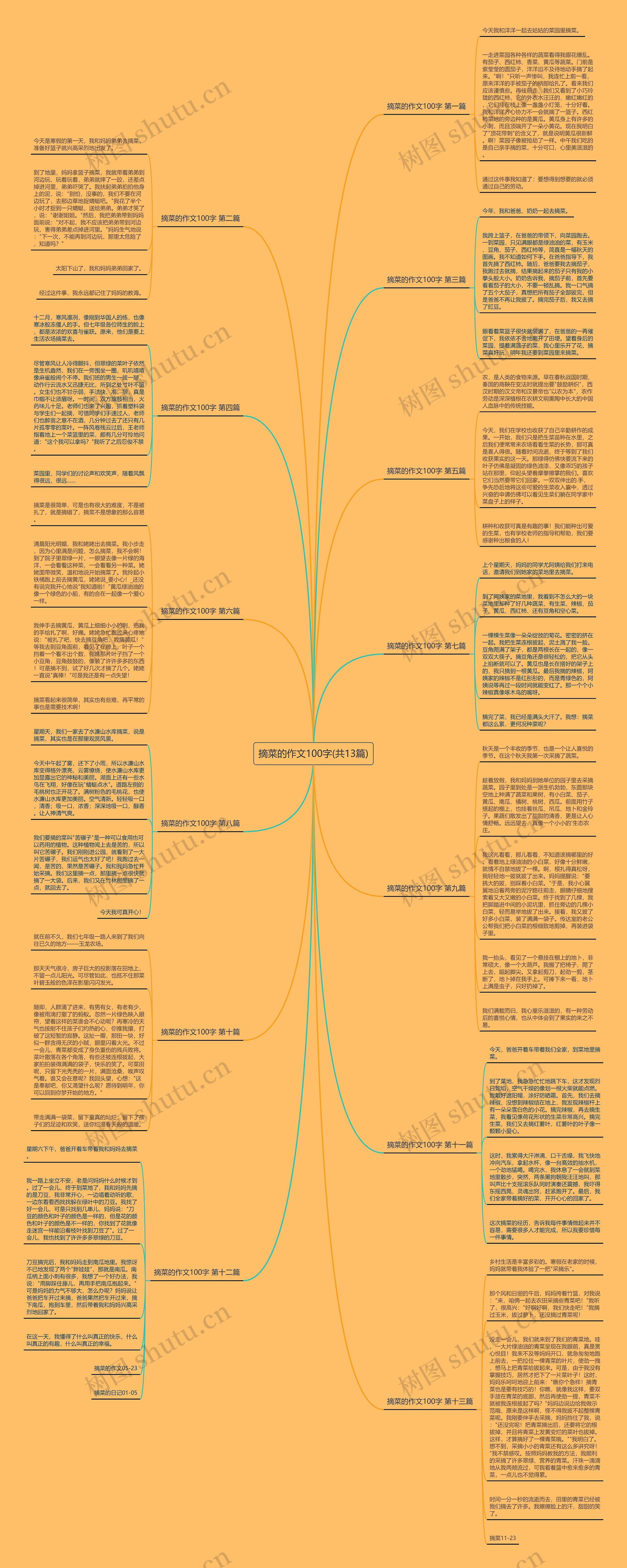 摘菜的作文100字(共13篇)思维导图