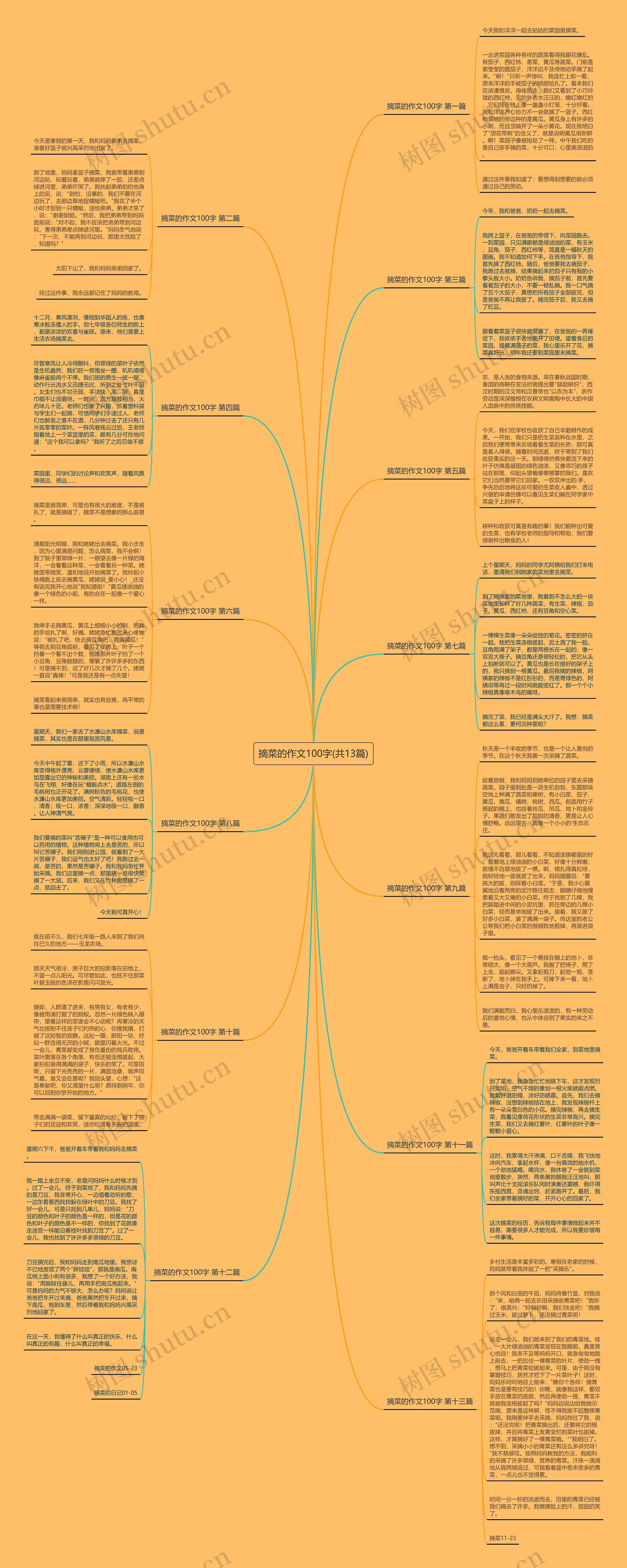 摘菜的作文100字(共13篇) 摘菜的作文100字(共13篇)