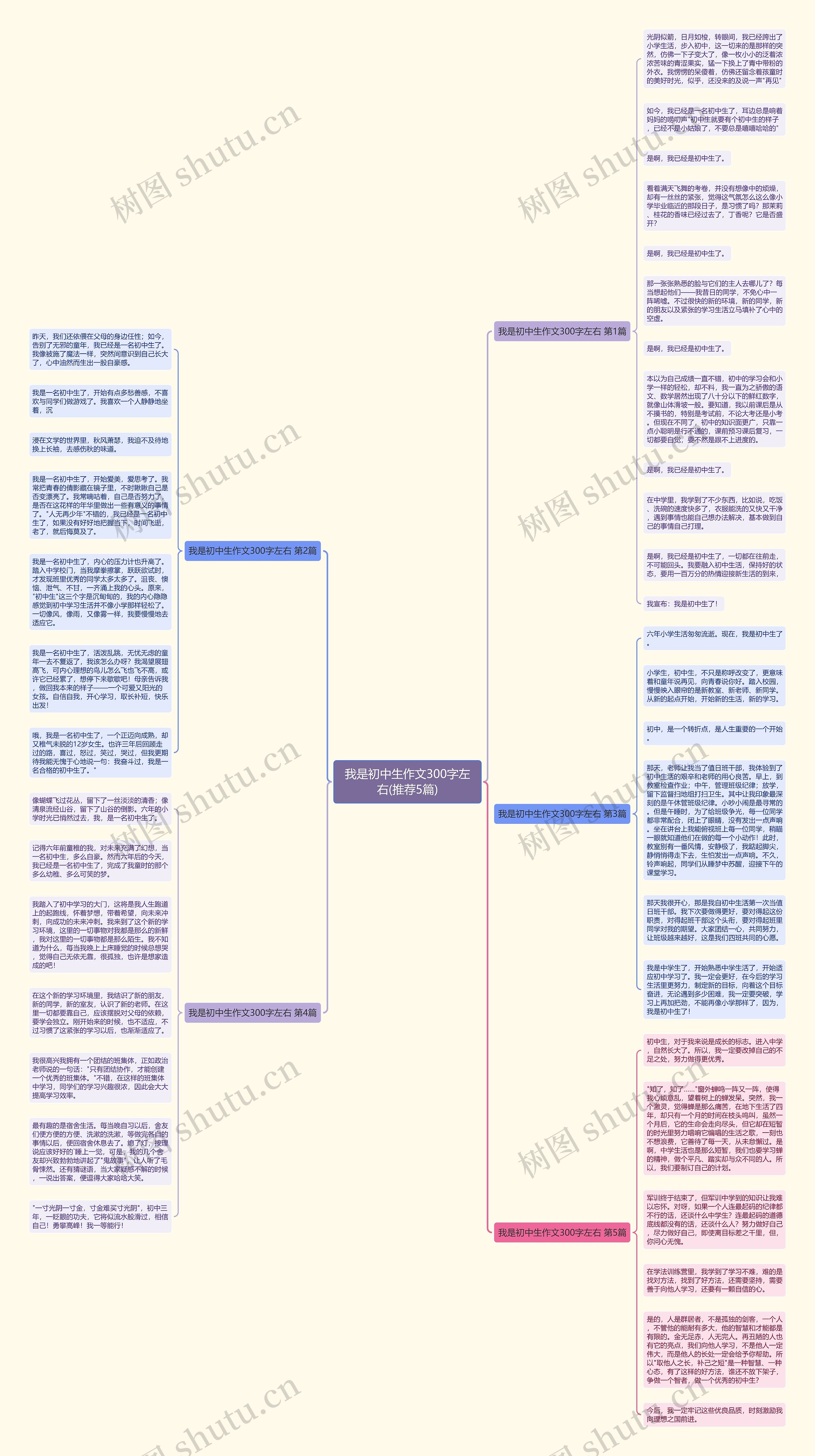 我是初中生作文300字左右(推荐5篇)思维导图