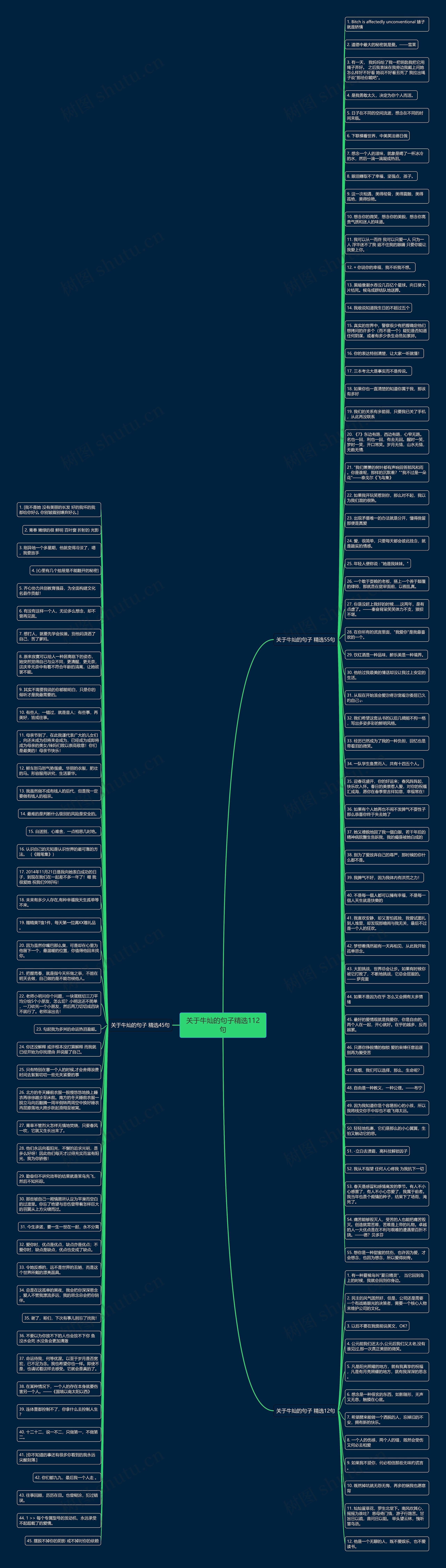 关于牛灿的句子精选112句思维导图