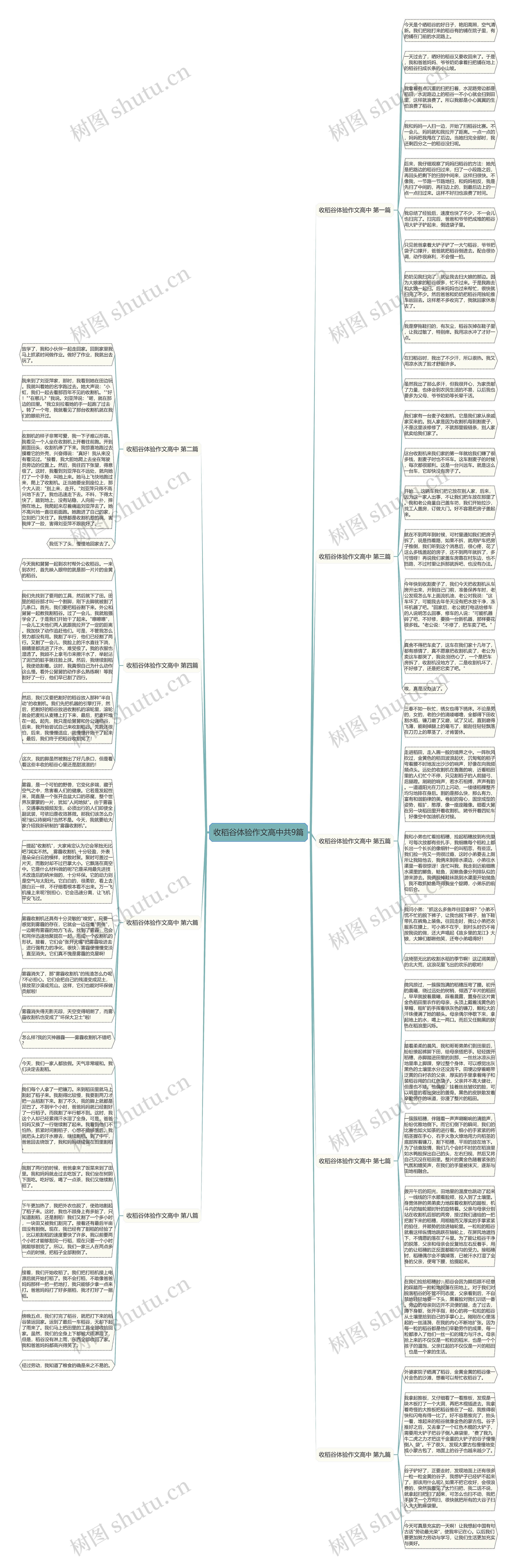 收稻谷体验作文高中共9篇思维导图
