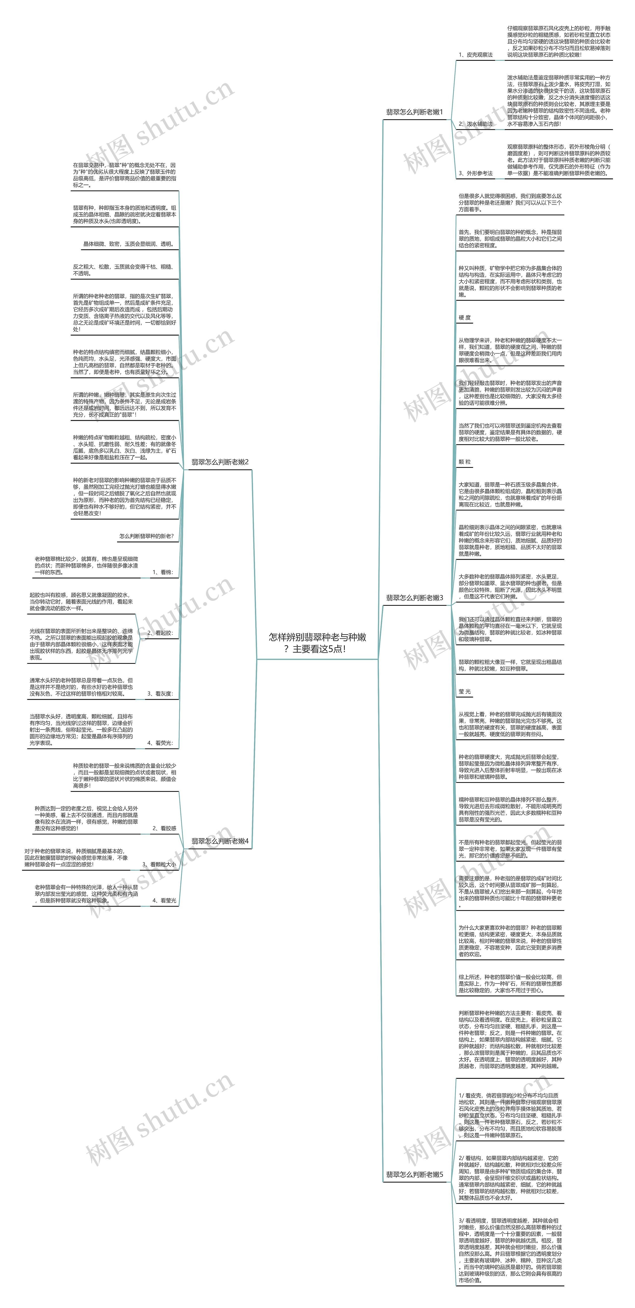 怎样辨别翡翠种老与种嫩？主要看这5点！思维导图