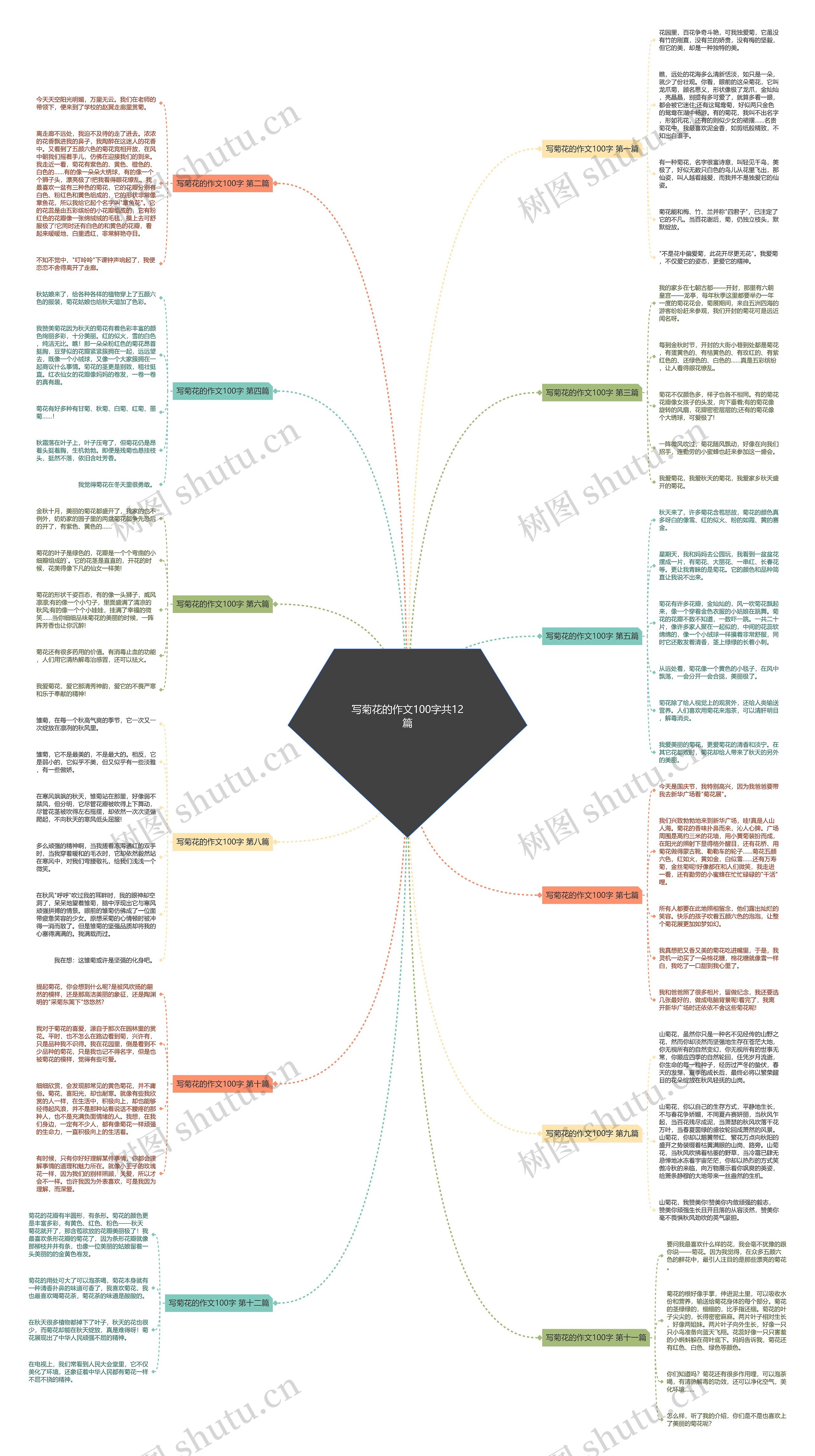 写菊花的作文100字共12篇思维导图
