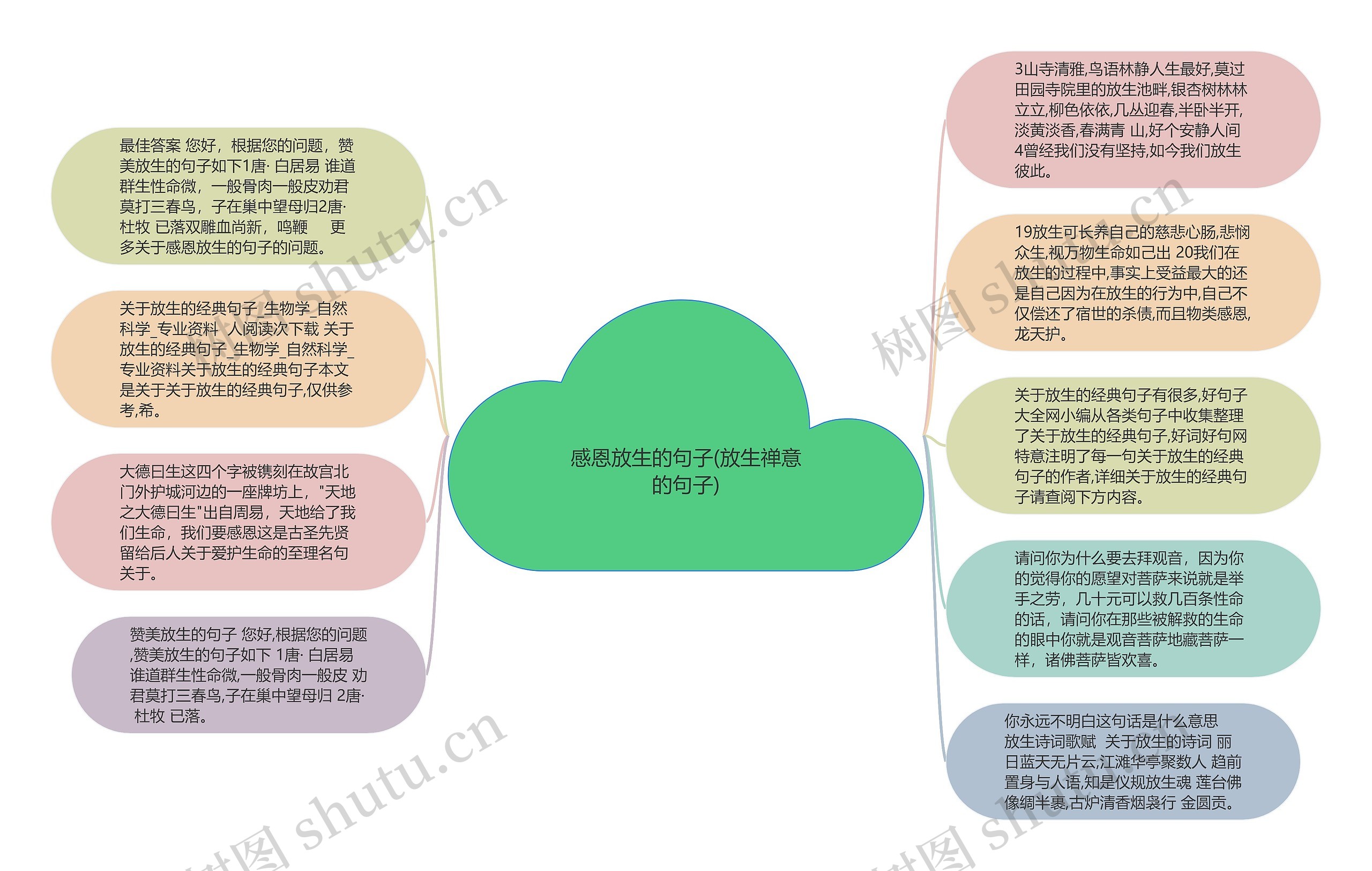 感恩放生的句子(放生禅意的句子)