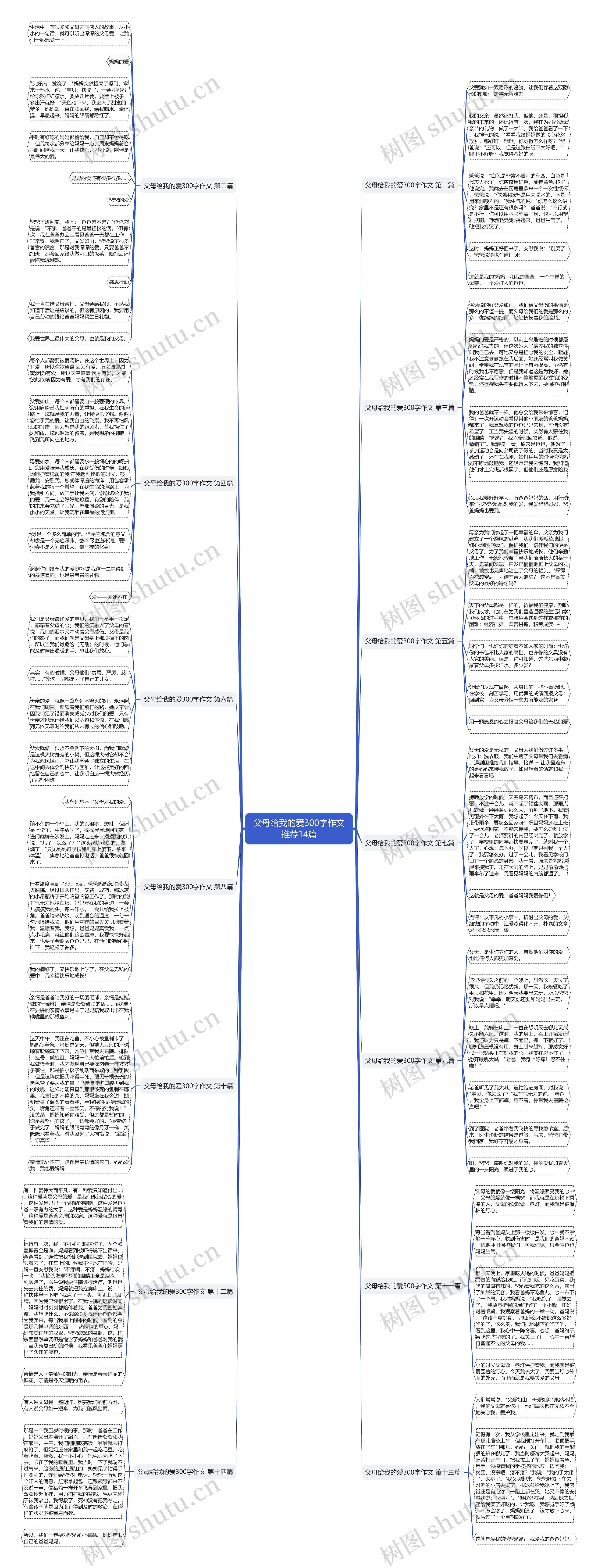 父母给我的爱300字作文推荐14篇思维导图
