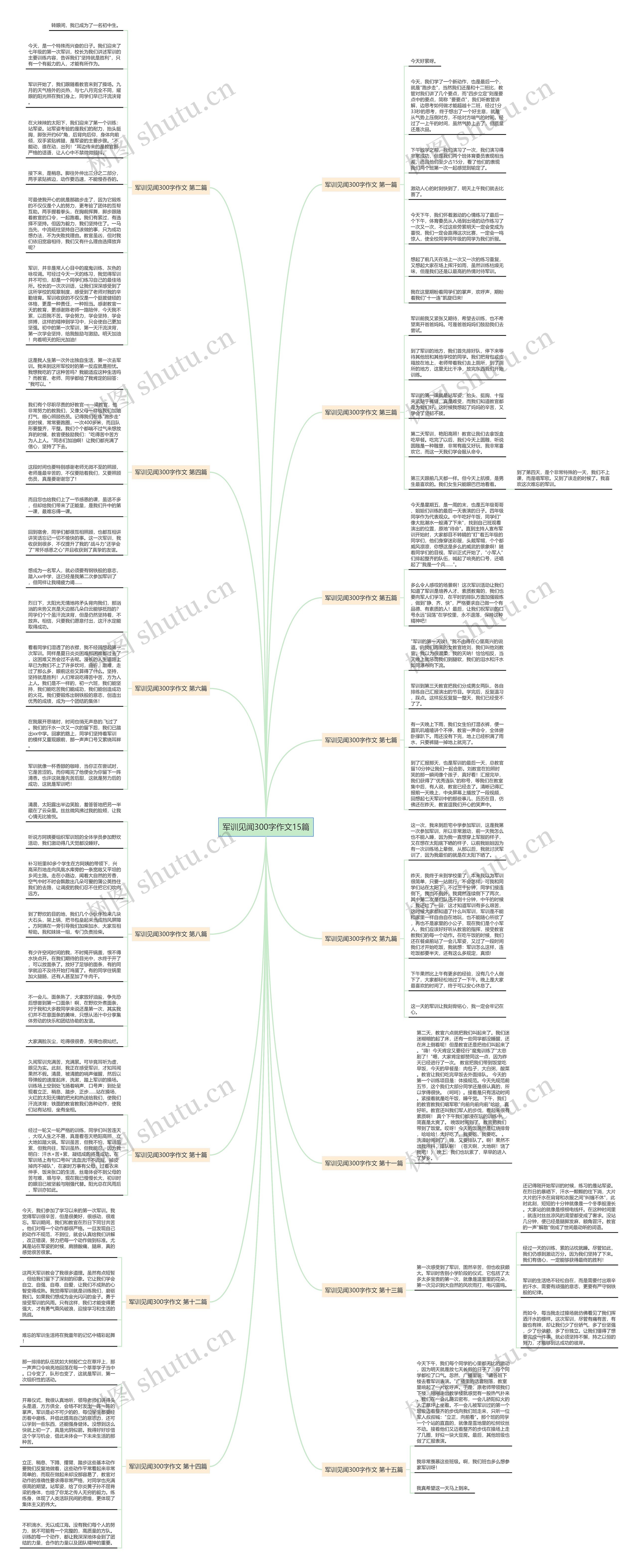 军训见闻300字作文15篇