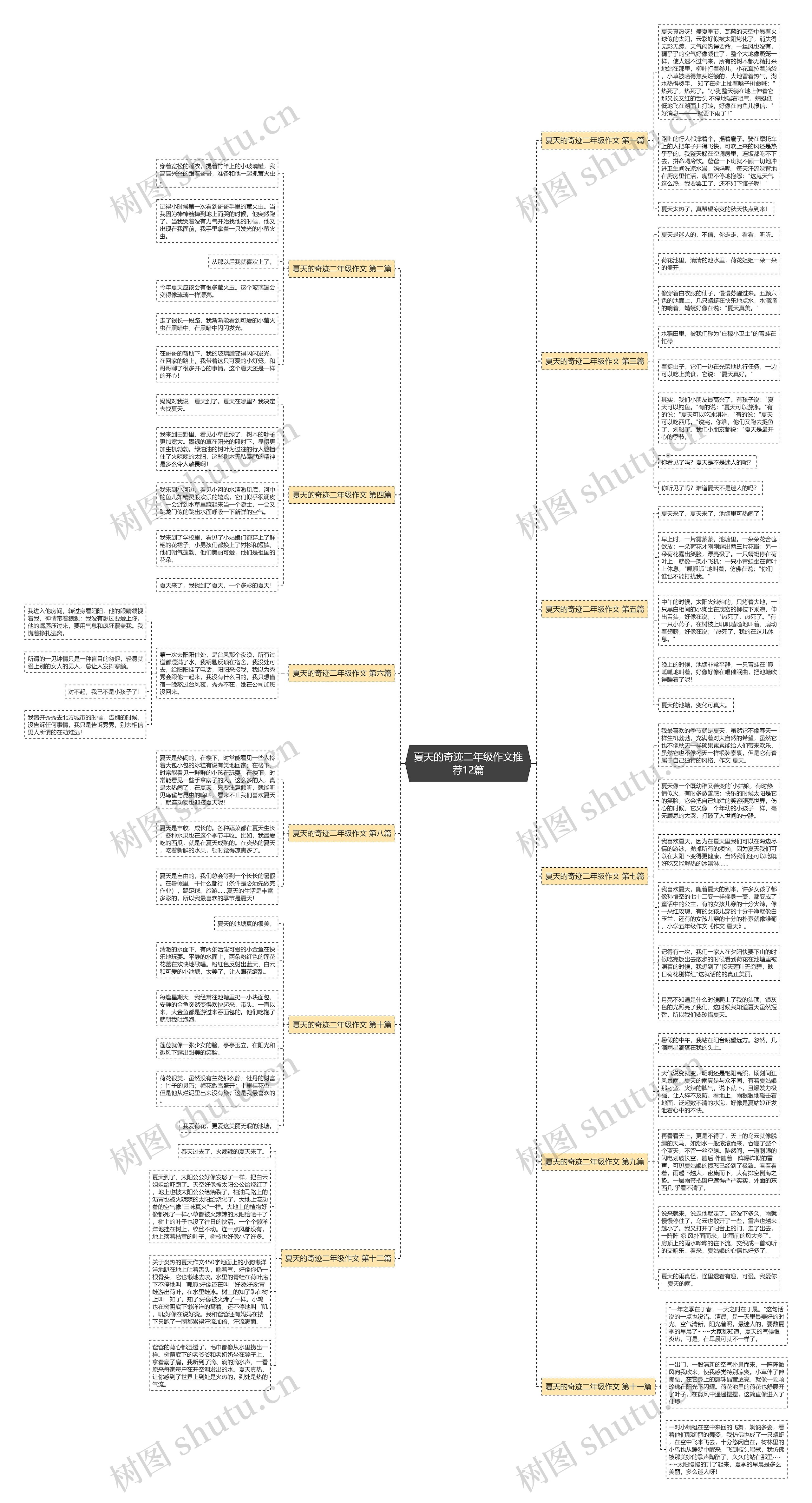 夏天的奇迹二年级作文推荐12篇 夏天的奇迹二年级作文推荐12篇