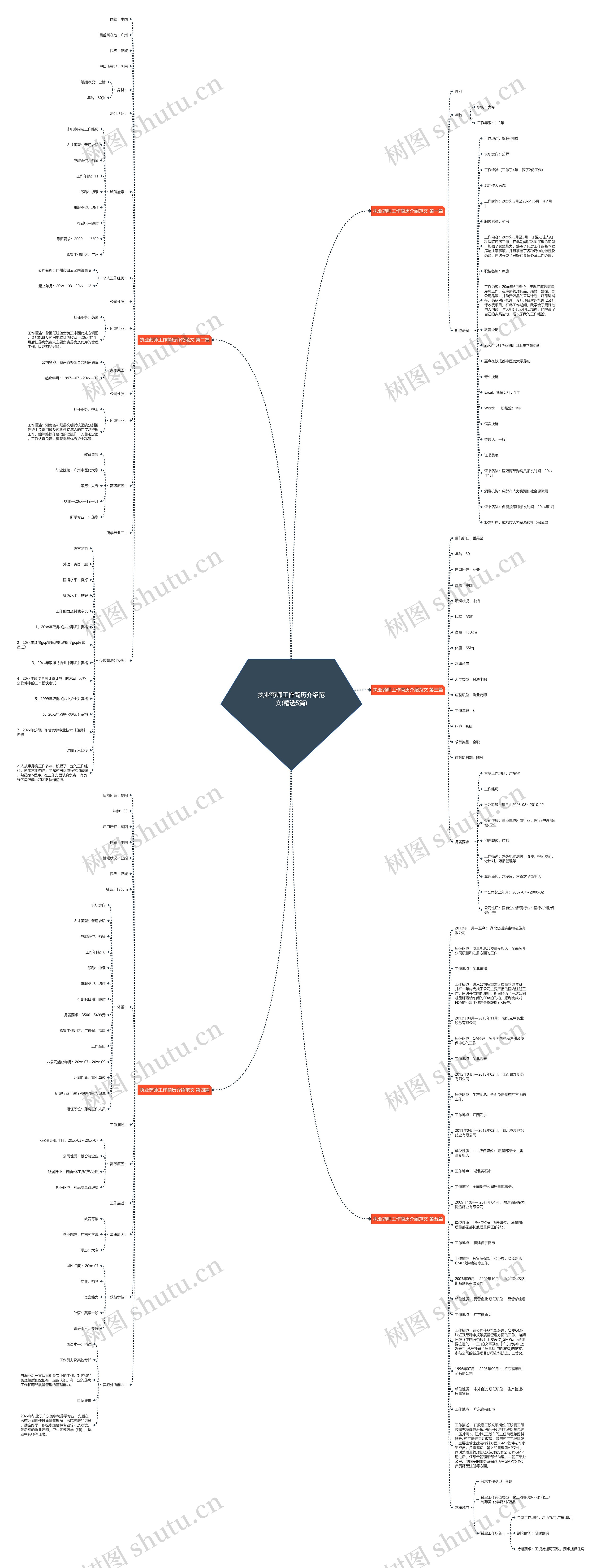 执业药师工作简历介绍范文(精选5篇)思维导图