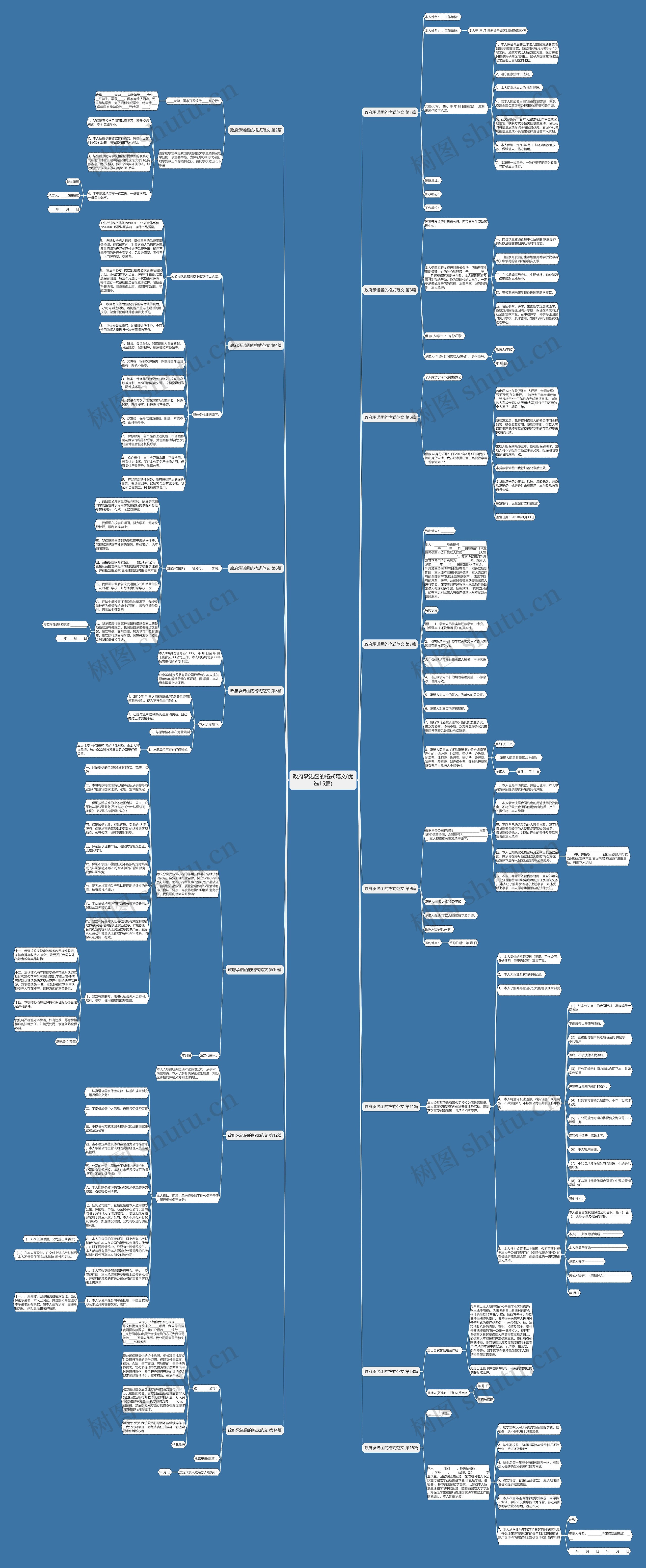 政府承诺函的格式范文(优选15篇)思维导图