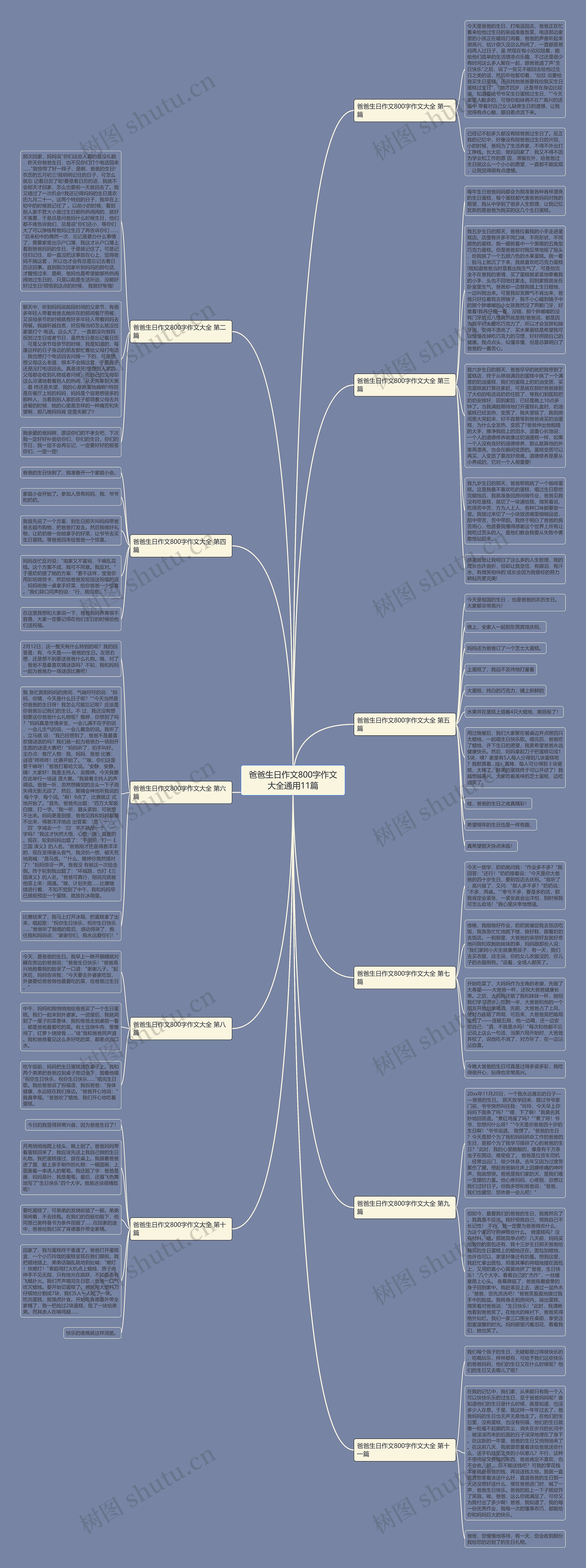爸爸生日作文800字作文大全通用11篇思维导图
