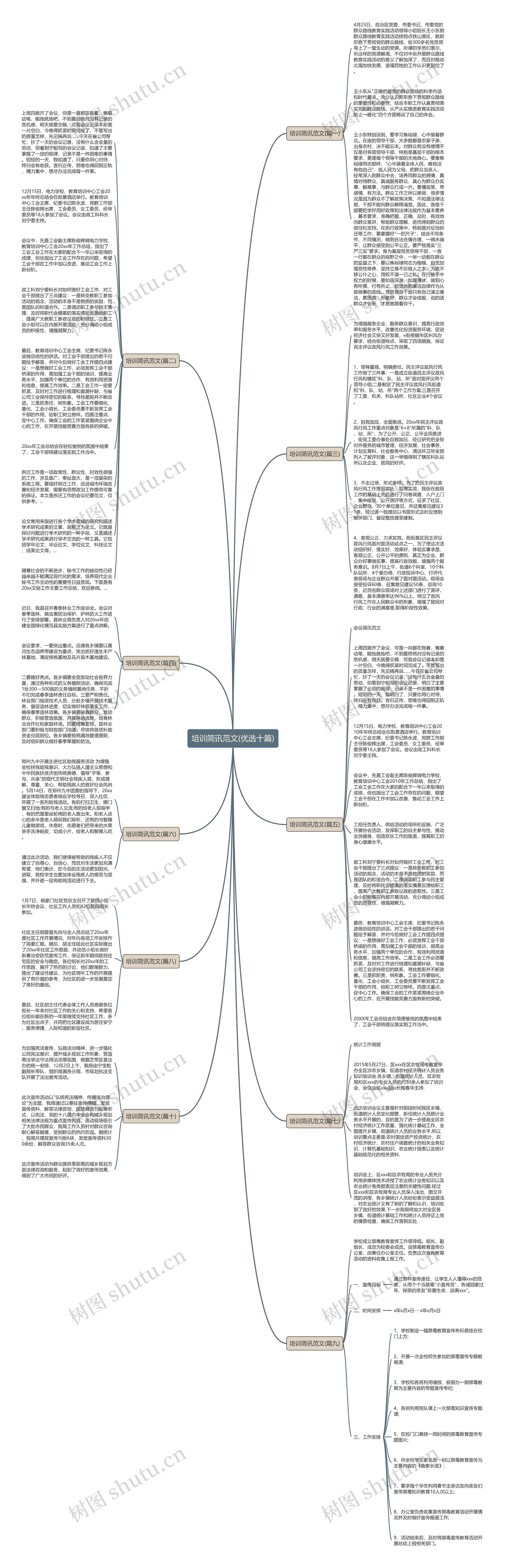 培训简讯范文(优选十篇)思维导图