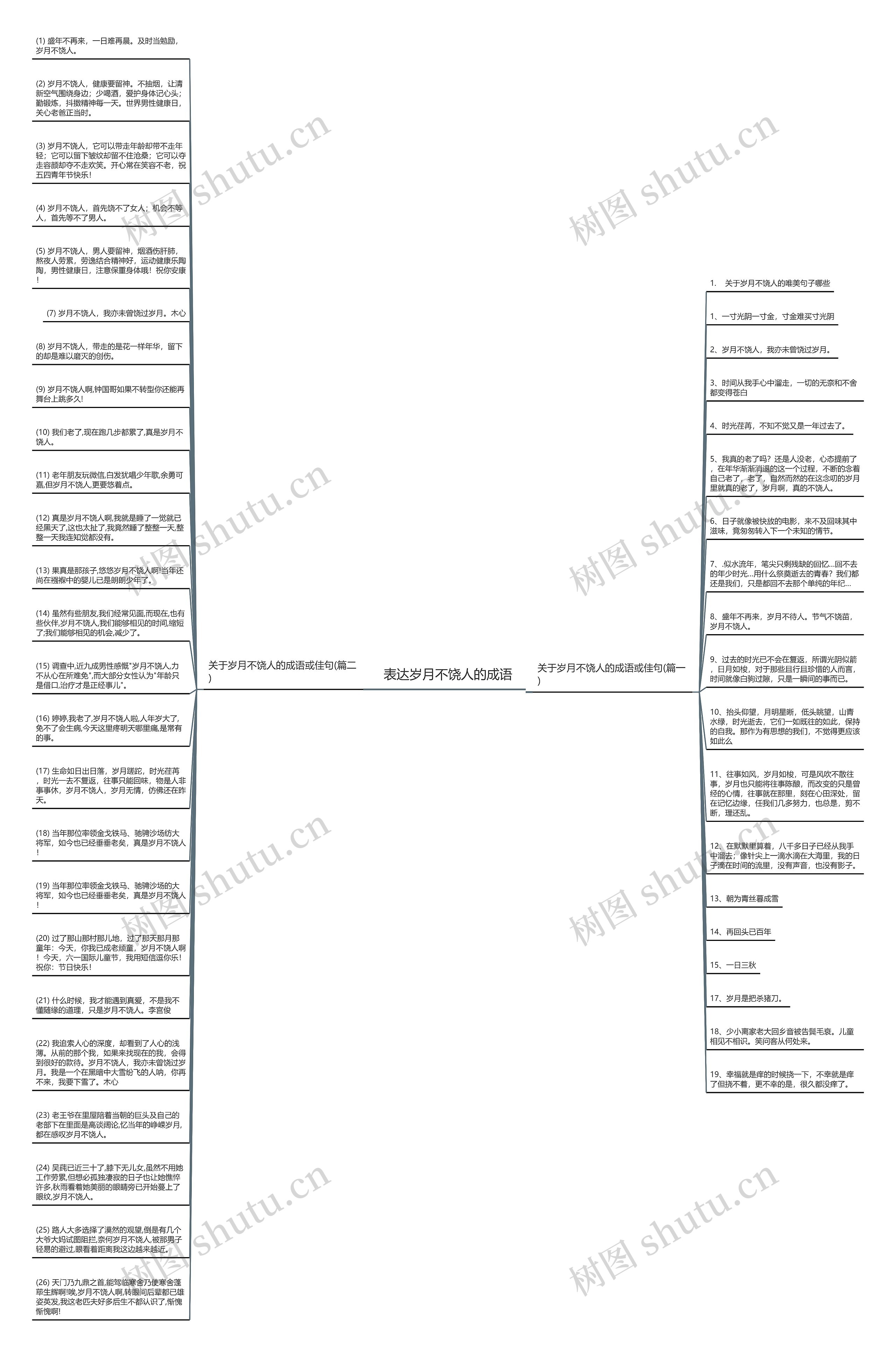 表达岁月不饶人的成语思维导图