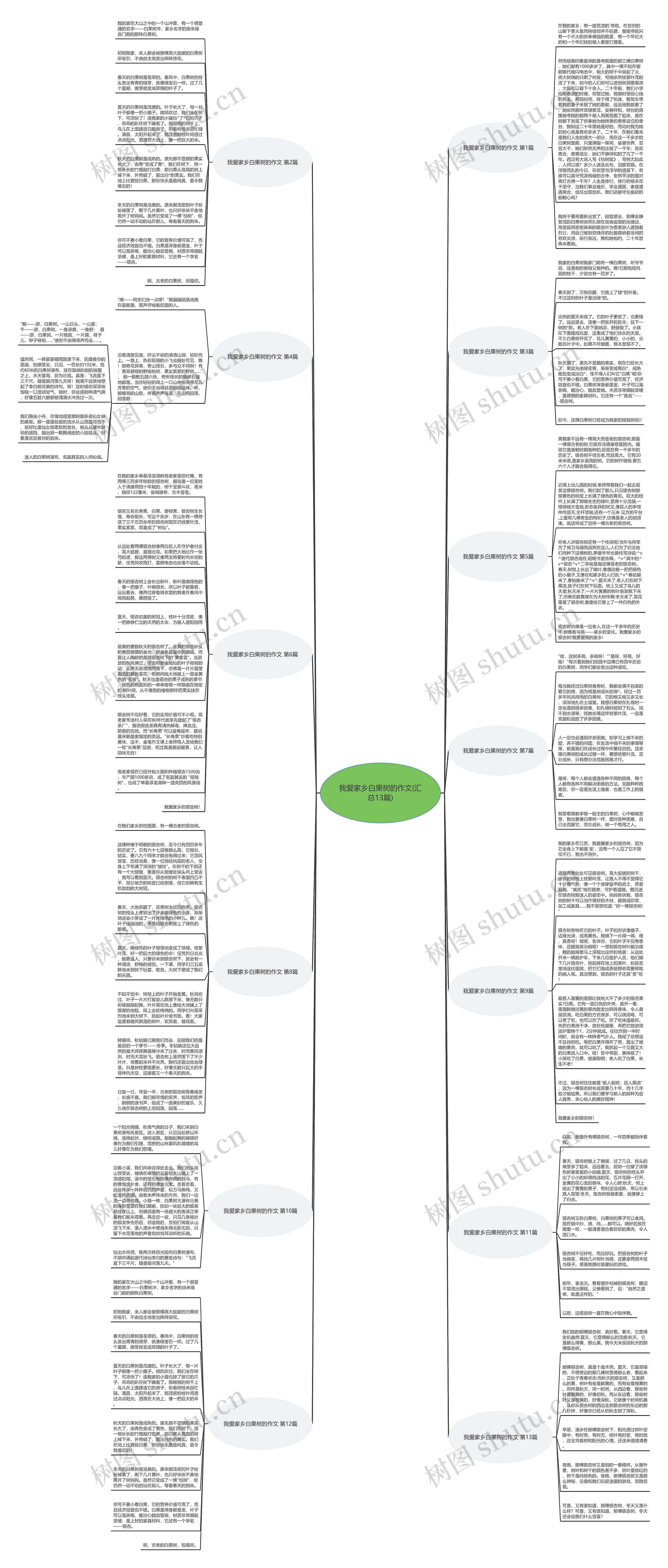 我爱家乡白果树的作文(汇总13篇)思维导图