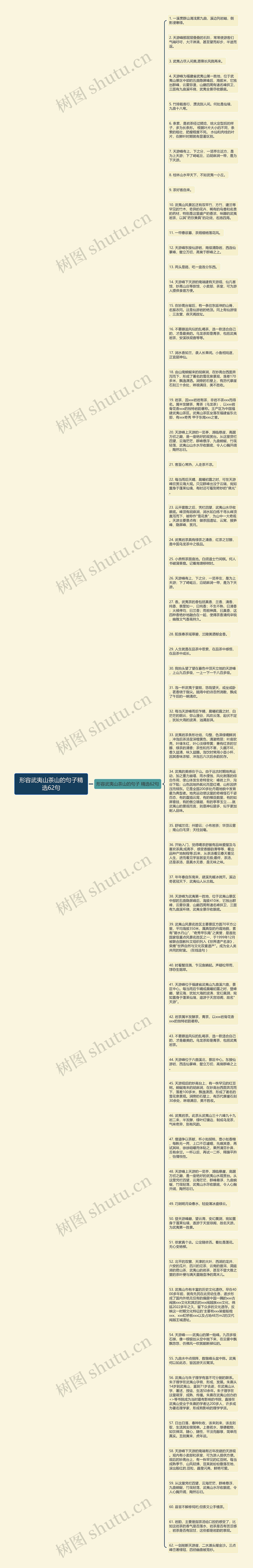 形容武夷山茶山的句子精选62句思维导图