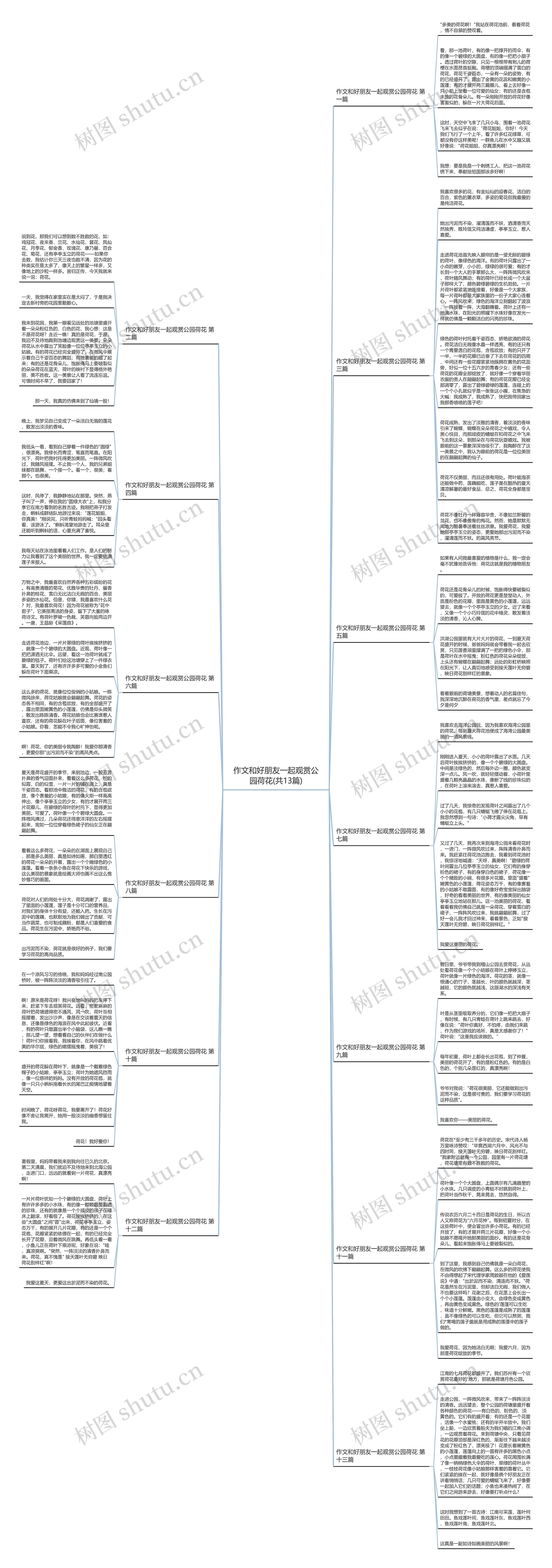 作文和好朋友一起观赏公园荷花(共13篇)思维导图