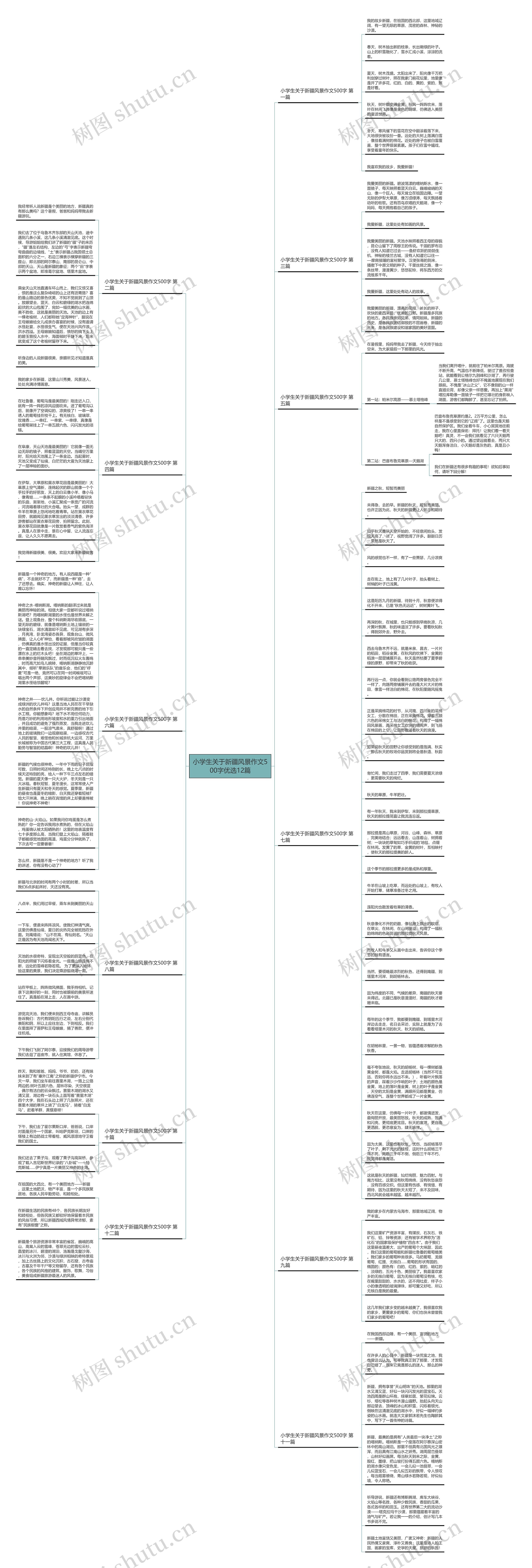 小学生关于新疆风景作文500字优选12篇思维导图