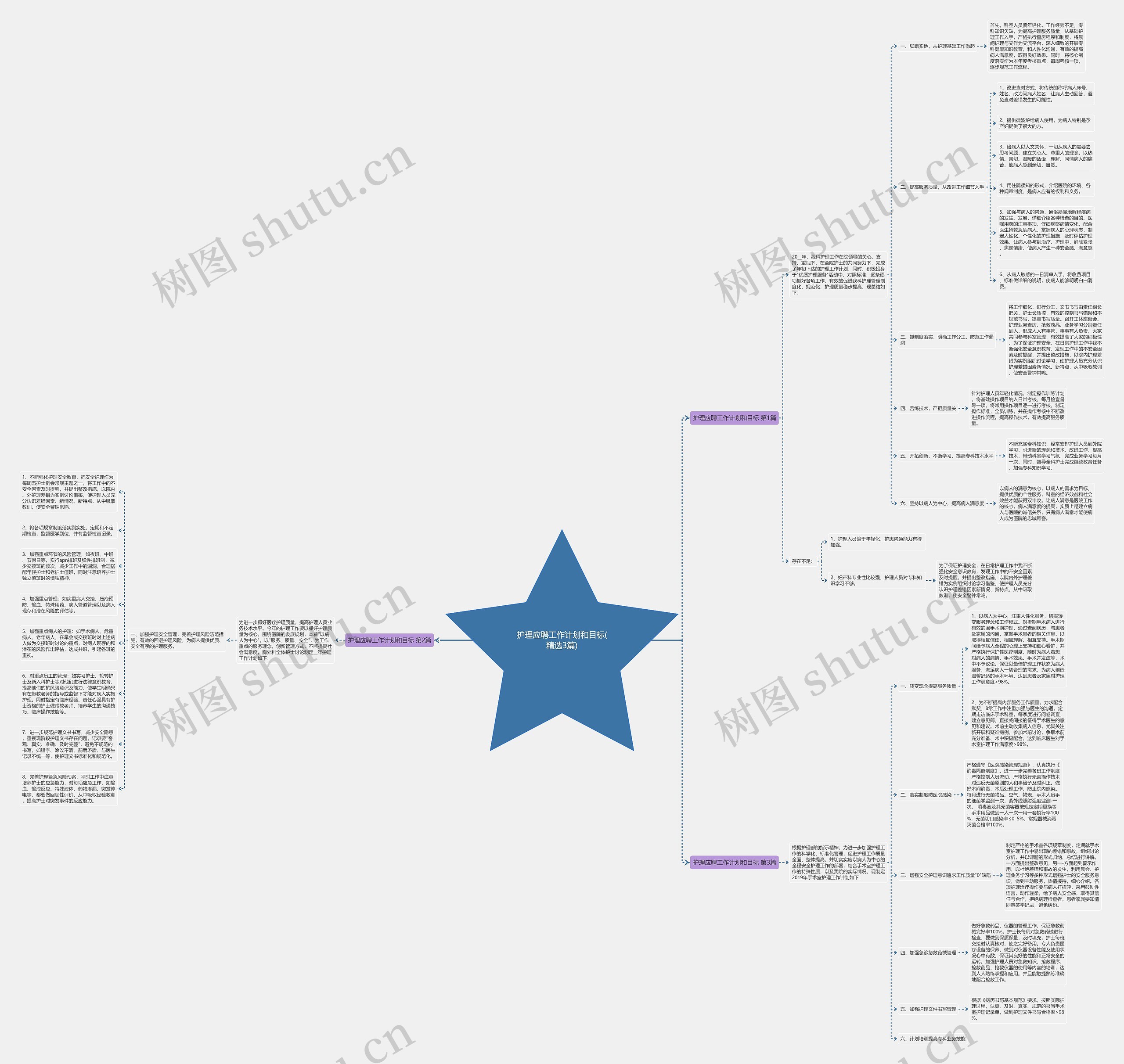护理应聘工作计划和目标(精选3篇)思维导图