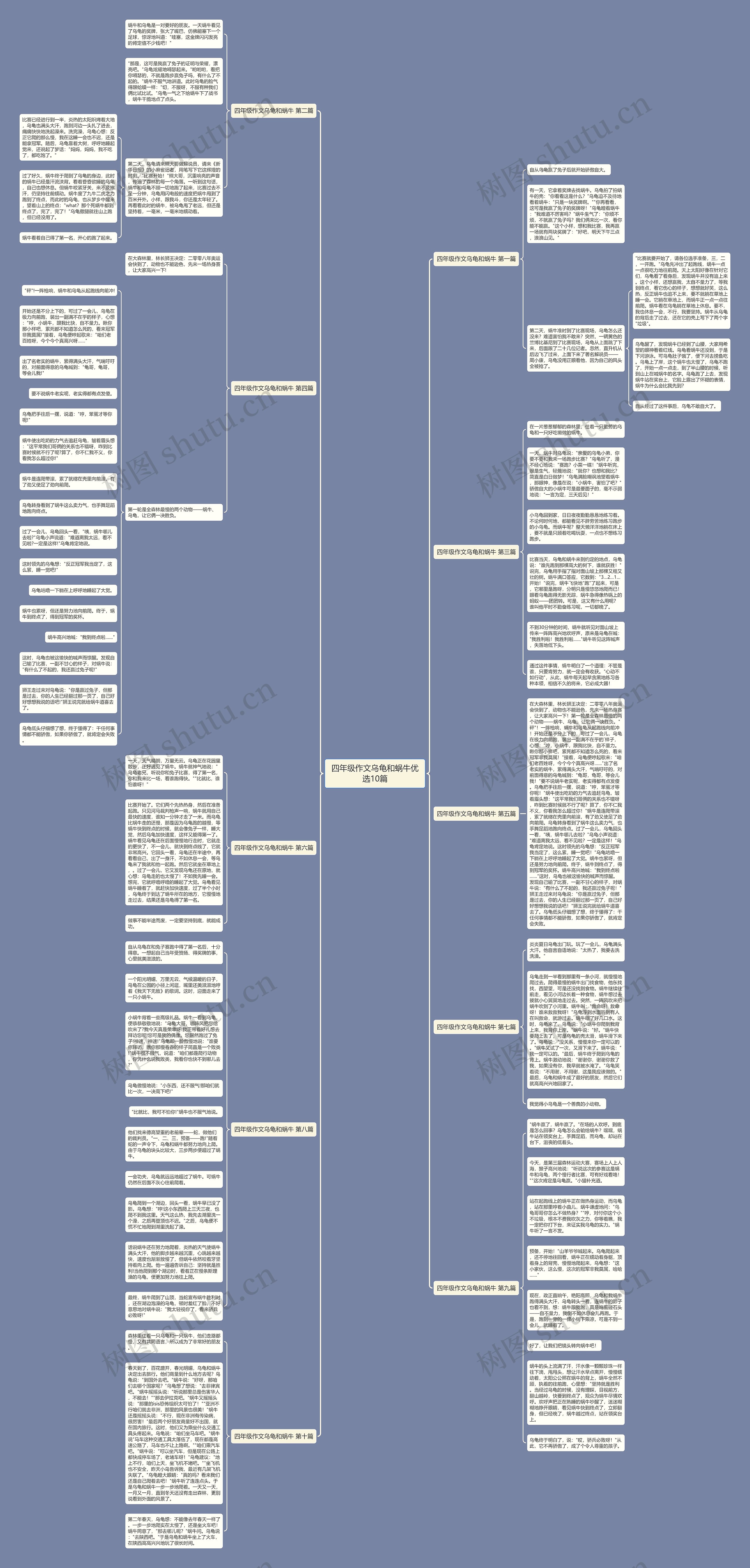 四年级作文乌龟和蜗牛优选10篇 四年级作文乌龟和蜗牛优选10篇