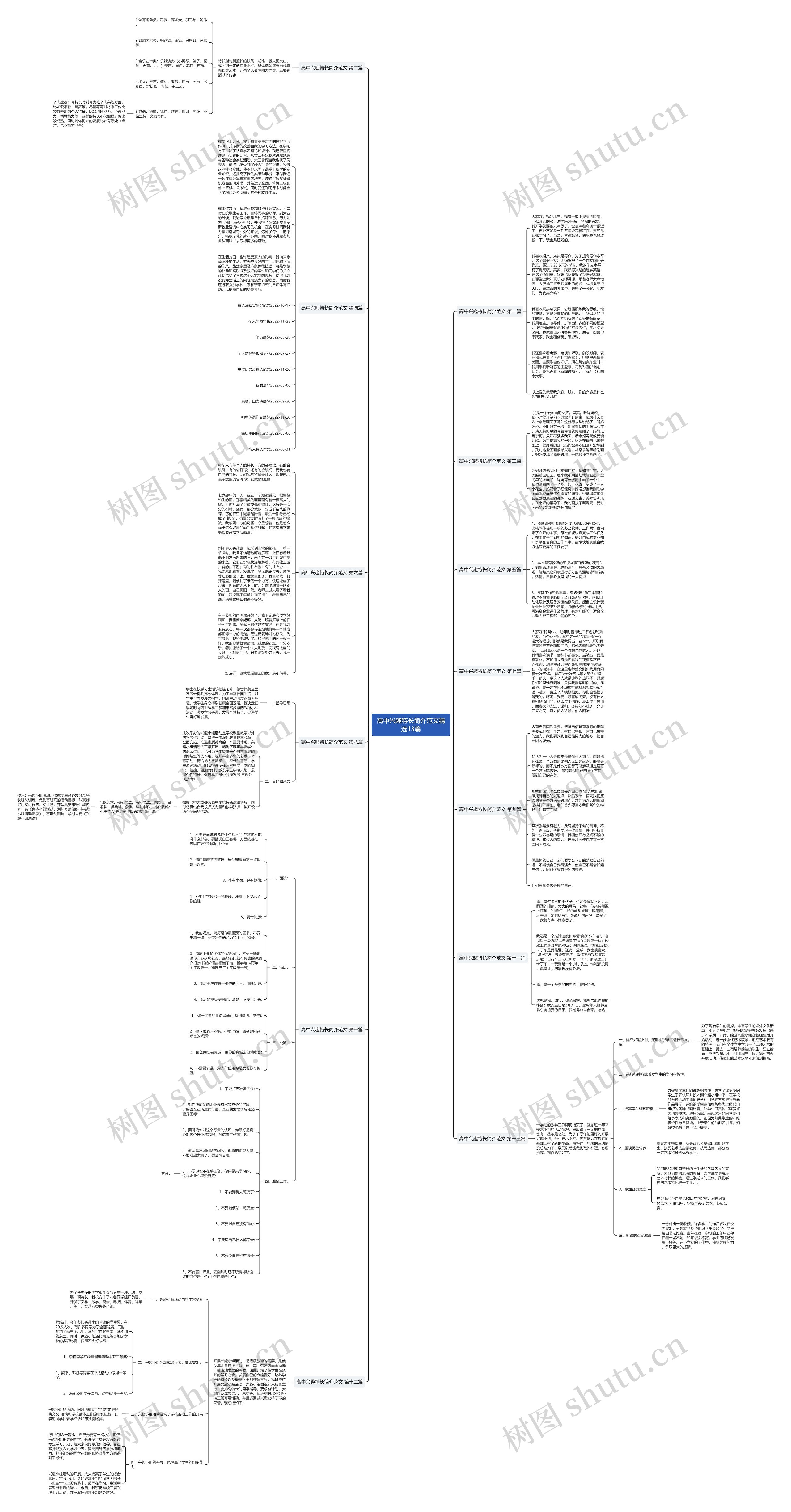 高中兴趣特长简介范文精选13篇思维导图