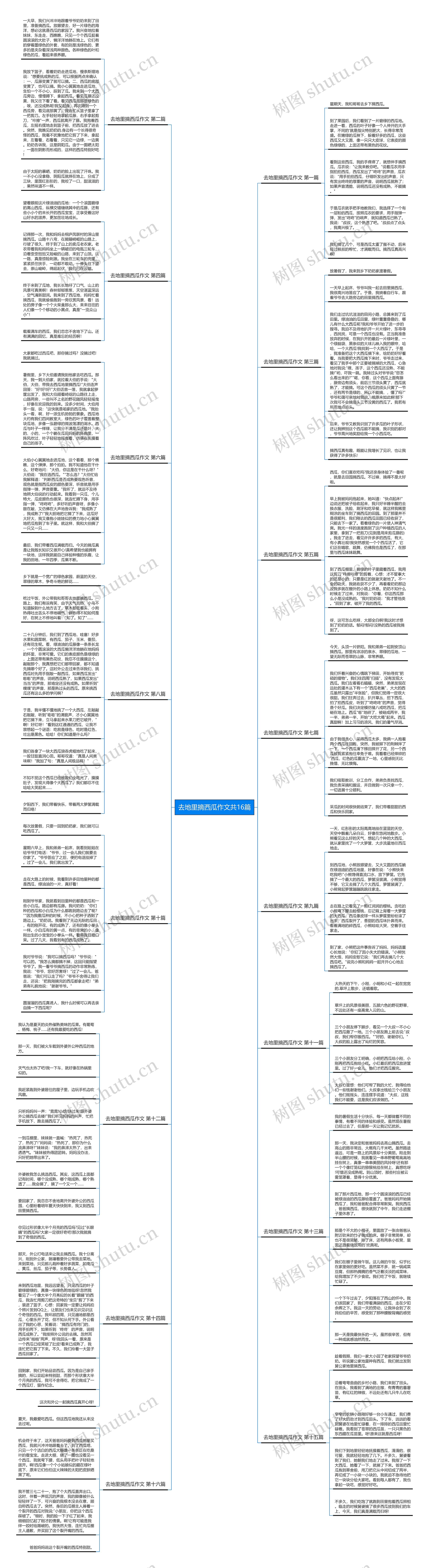 去地里摘西瓜作文共16篇 去地里摘西瓜作文共16篇