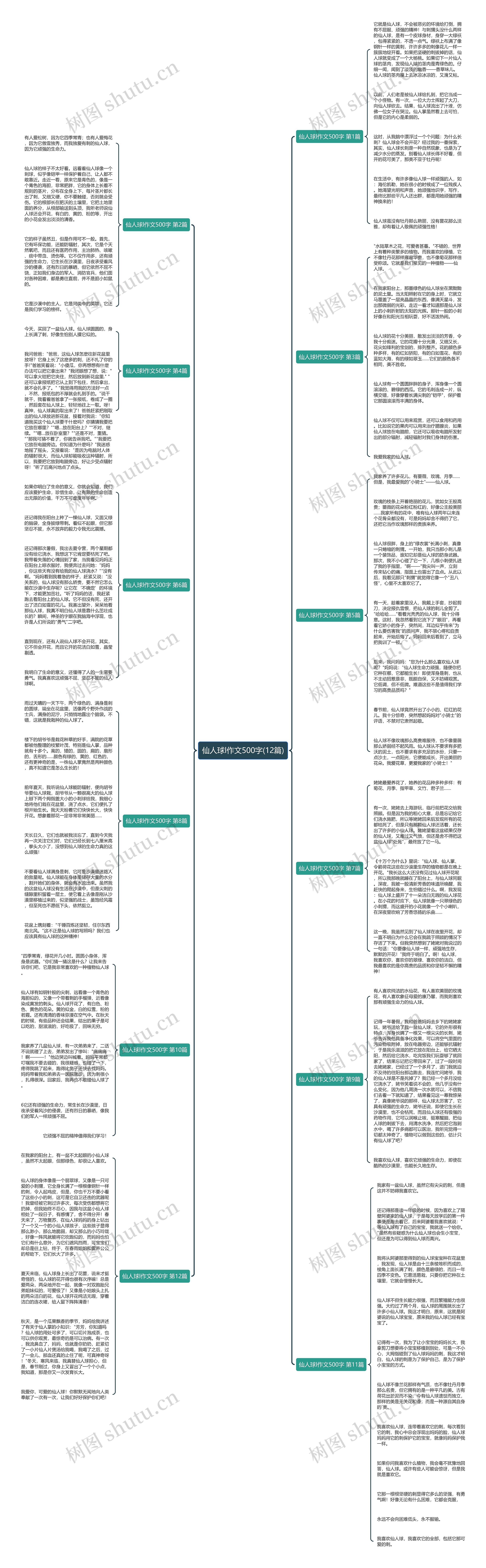 仙人球l作文500字(12篇)思维导图