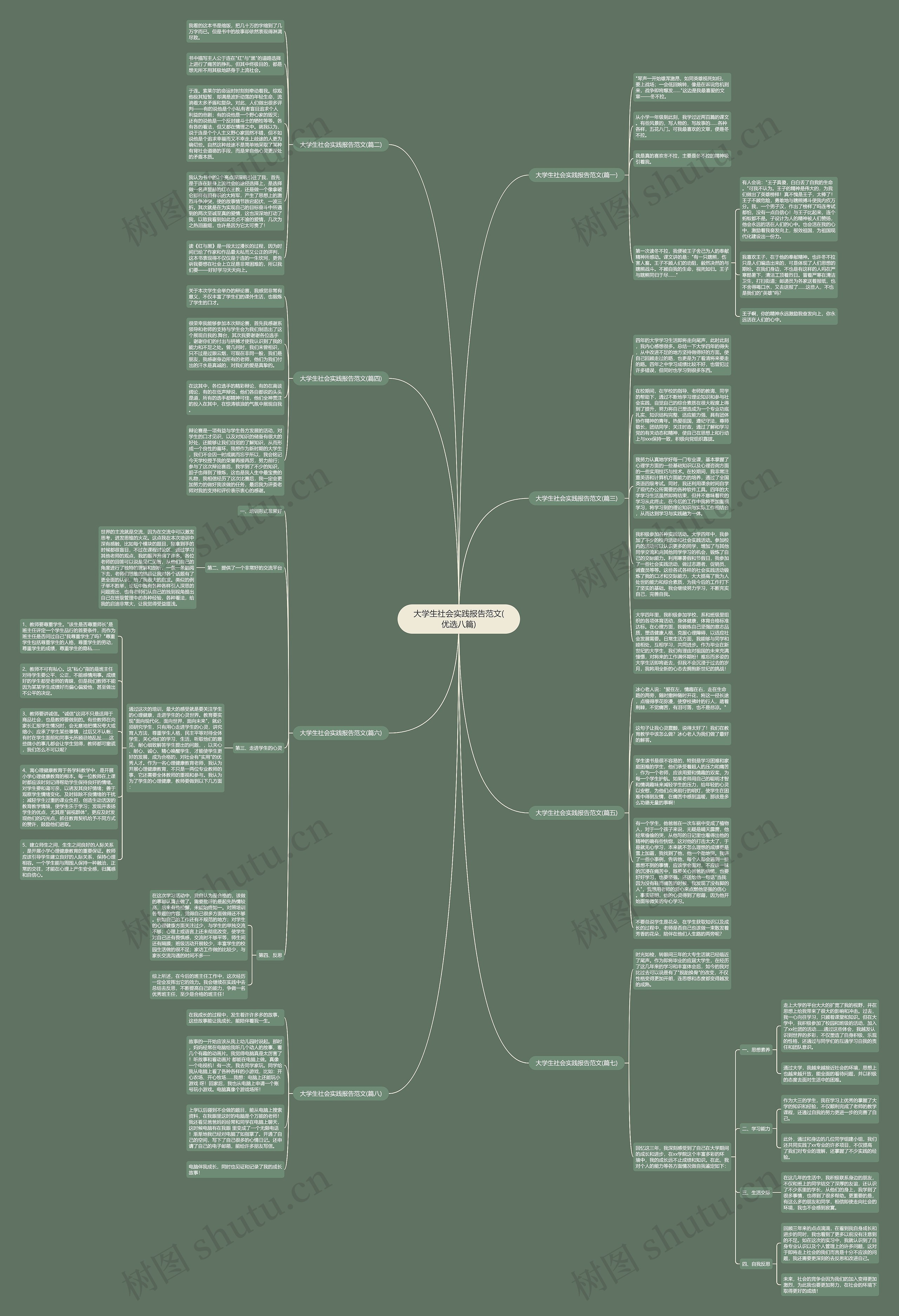 大学生社会实践报告范文(优选八篇)思维导图高清图 大学生社会实践报告范文(优选八篇)思维导图