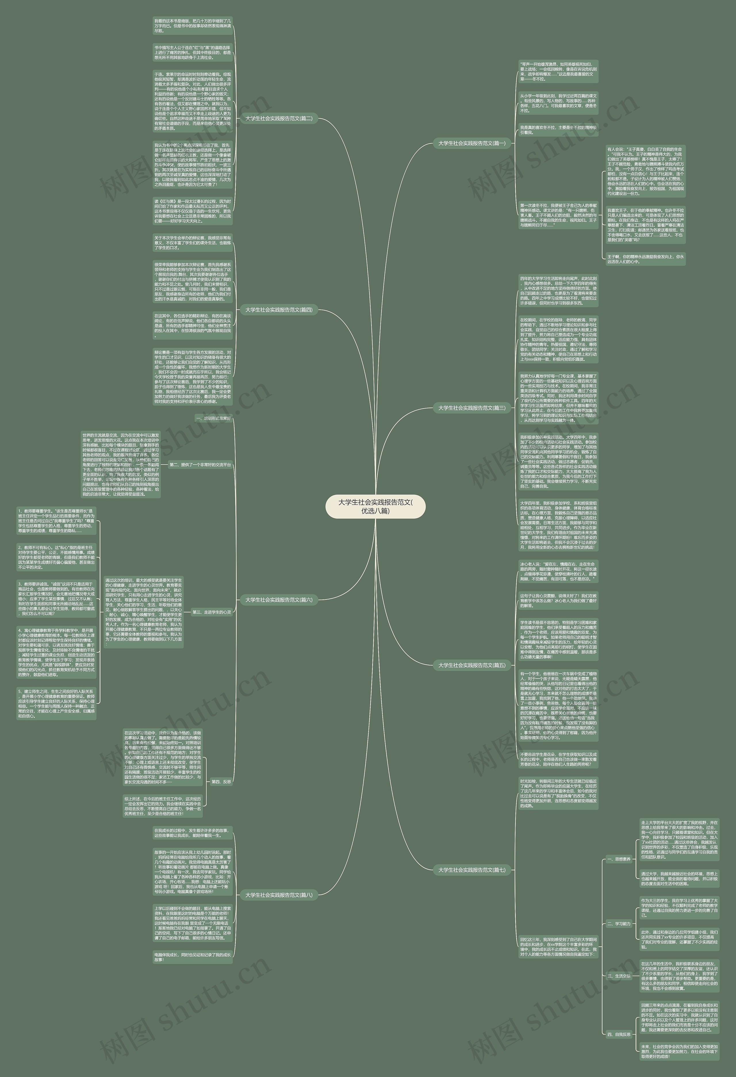 大学生社会实践报告范文(优选八篇)思维导图