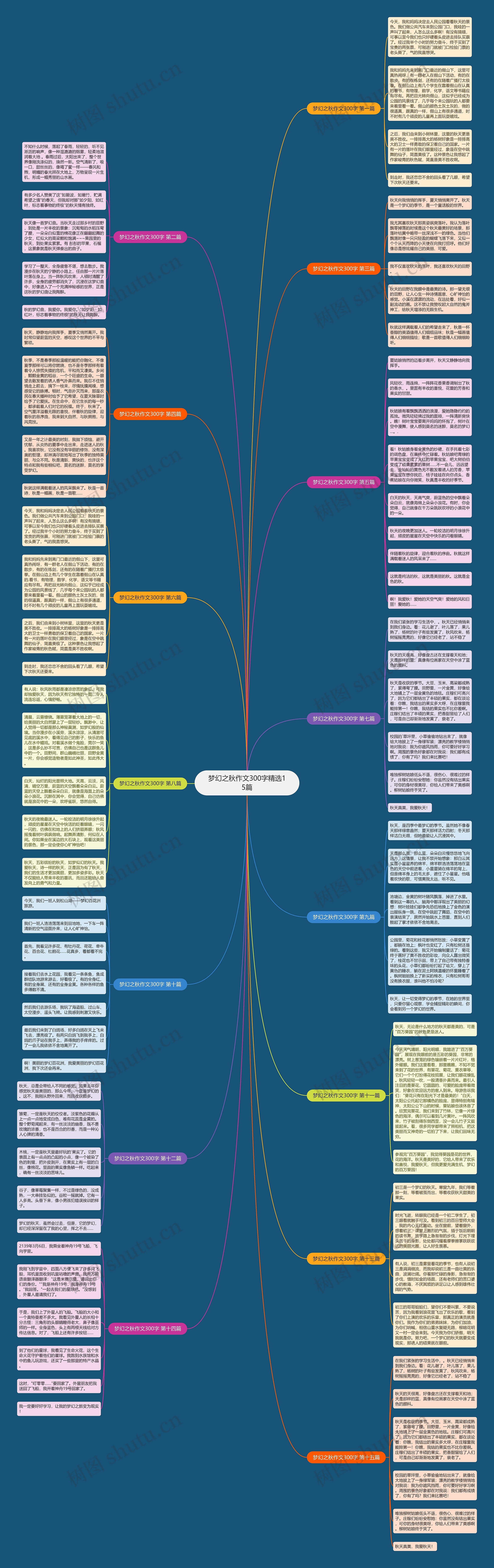 梦幻之秋作文300字精选15篇思维导图