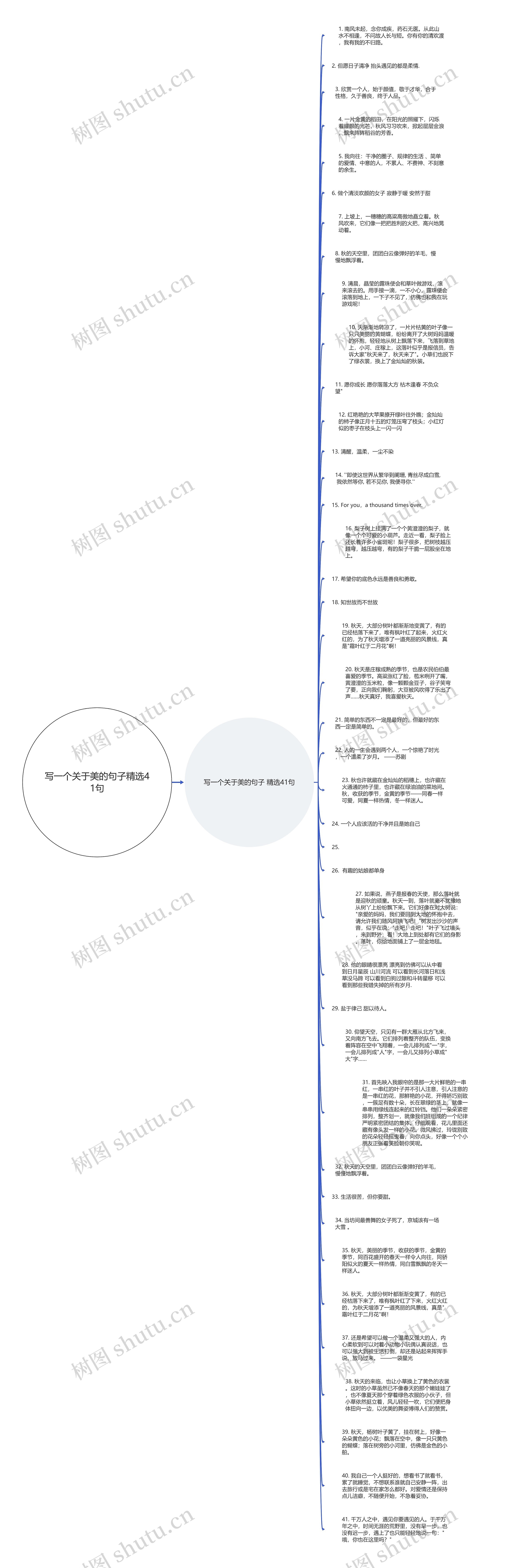 写一个关于美的句子精选41句思维导图