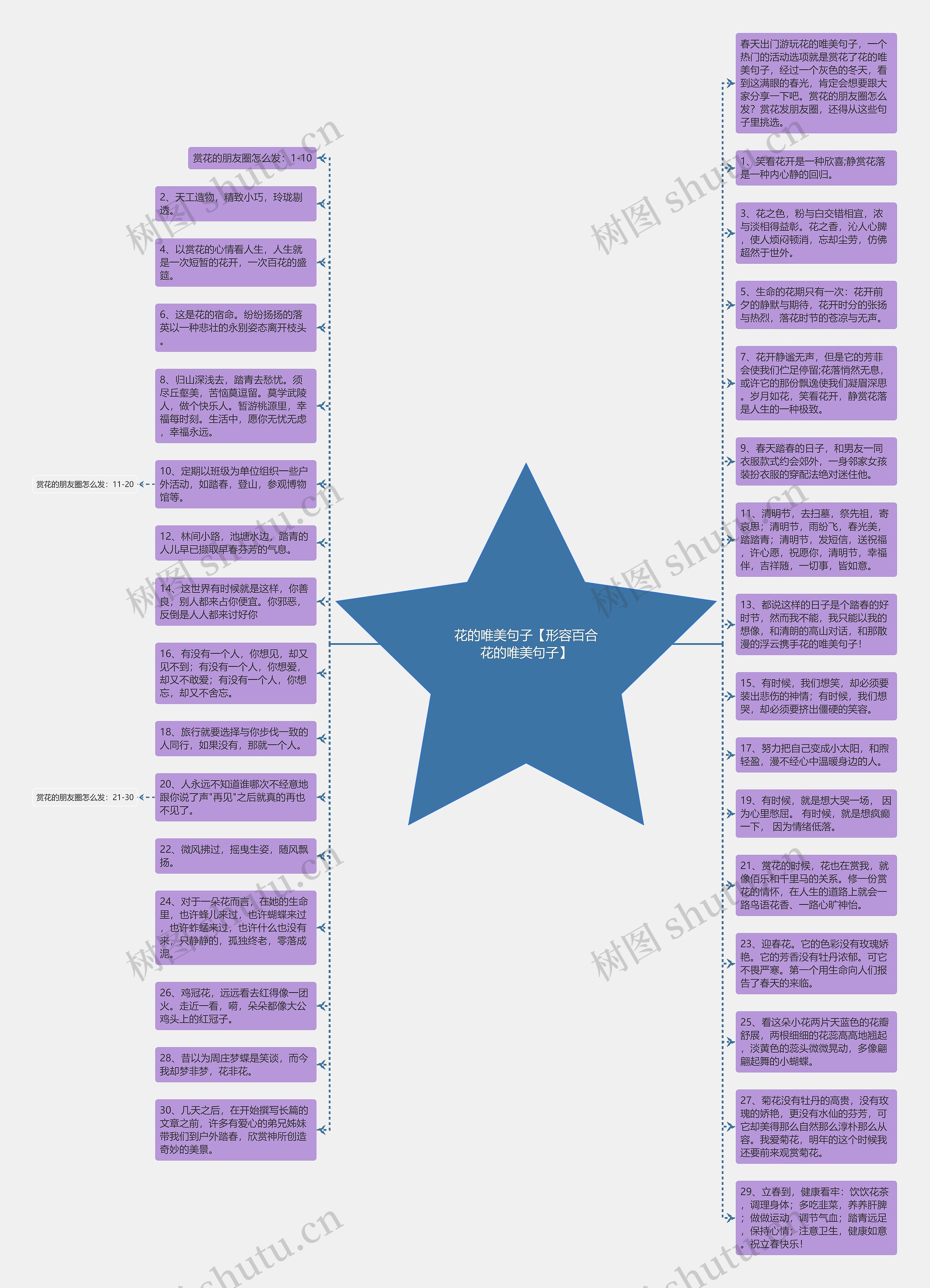 花的唯美句子【形容百合花的唯美句子】思维导图