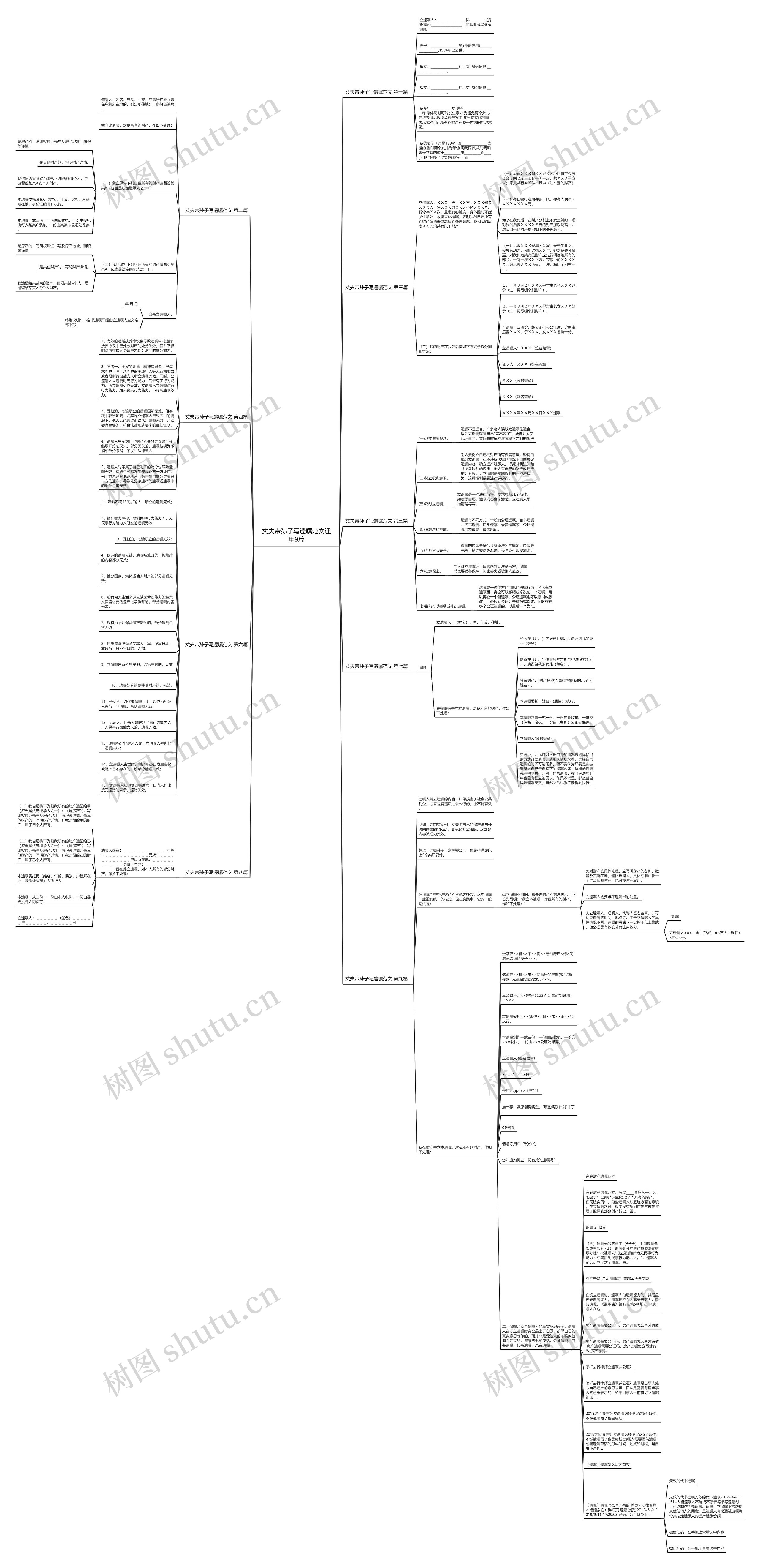 丈夫带孙子写遗嘱范文通用9篇思维导图