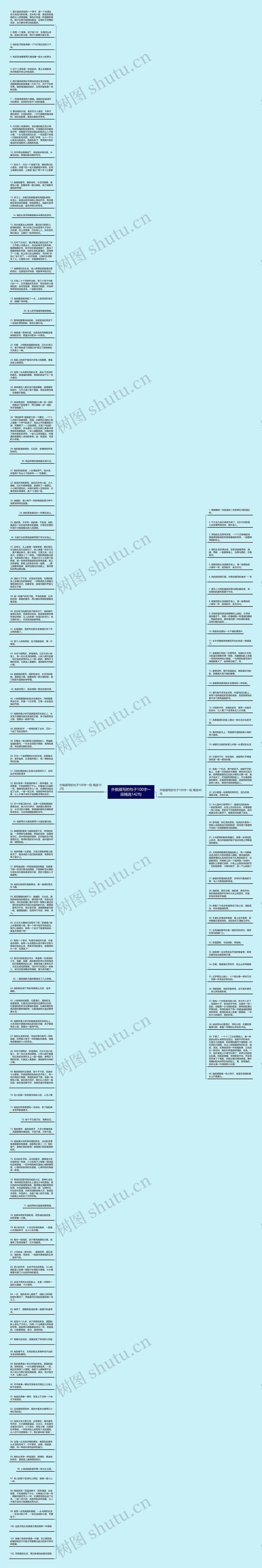 外貌描写的句子100字一段精选142句思维导图