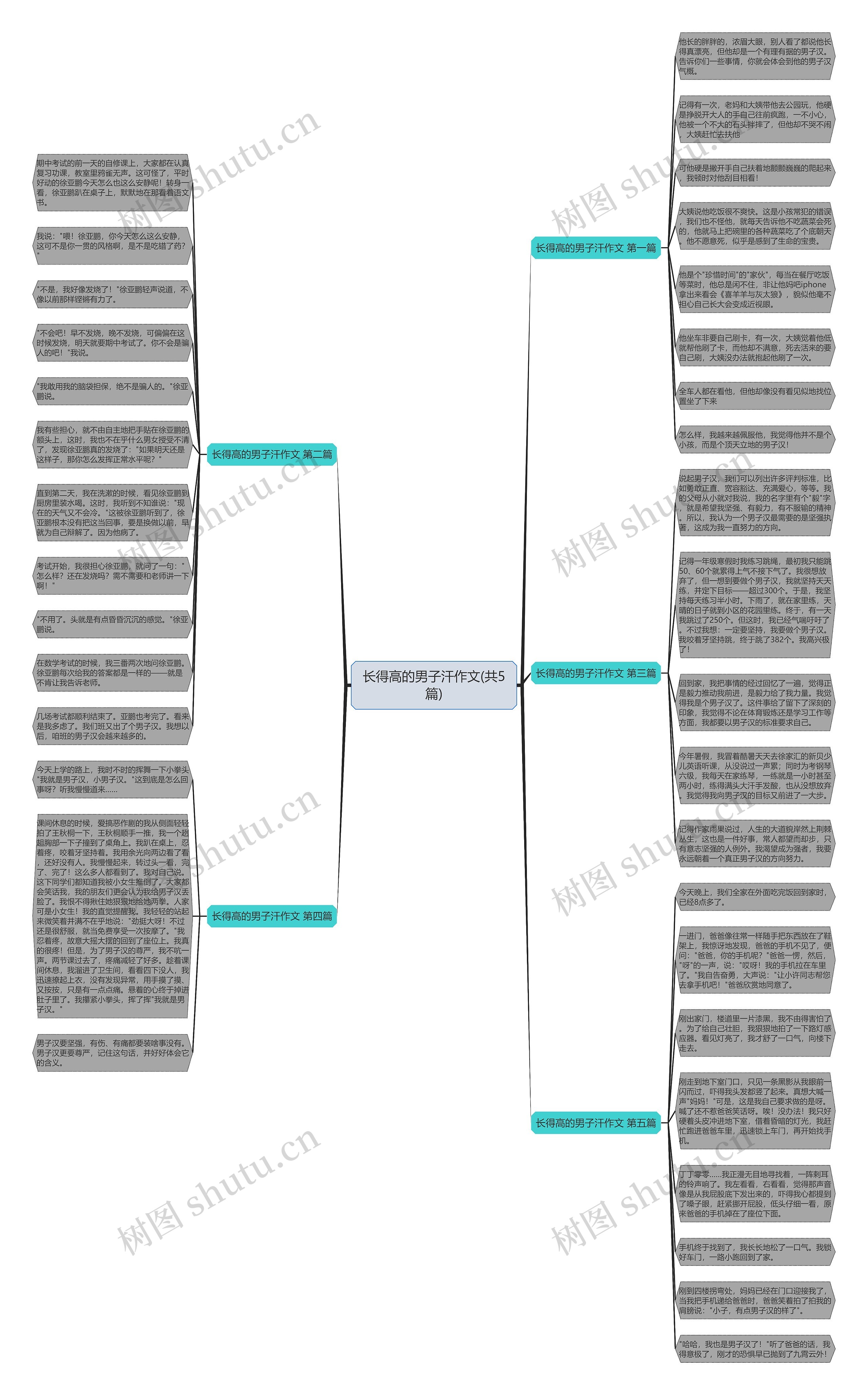 长得高的男子汗作文(共5篇)思维导图