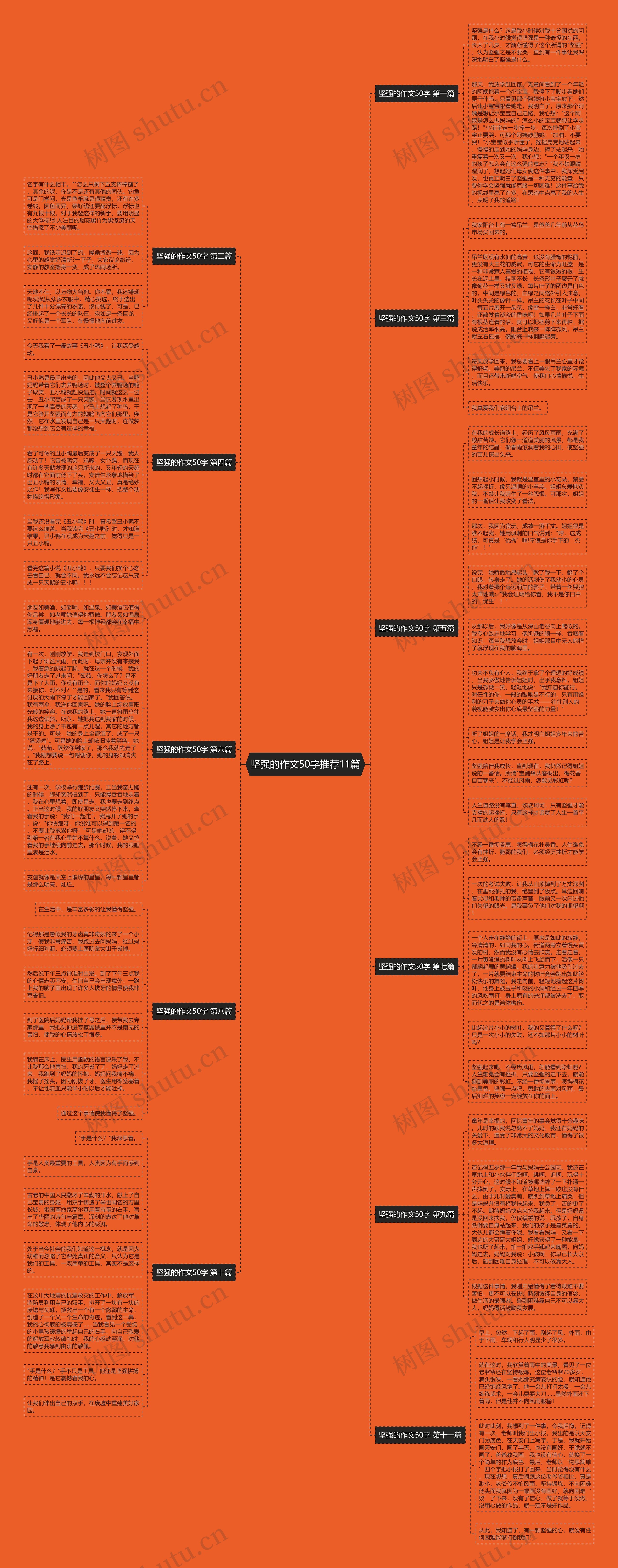 坚强的作文50字推荐11篇思维导图