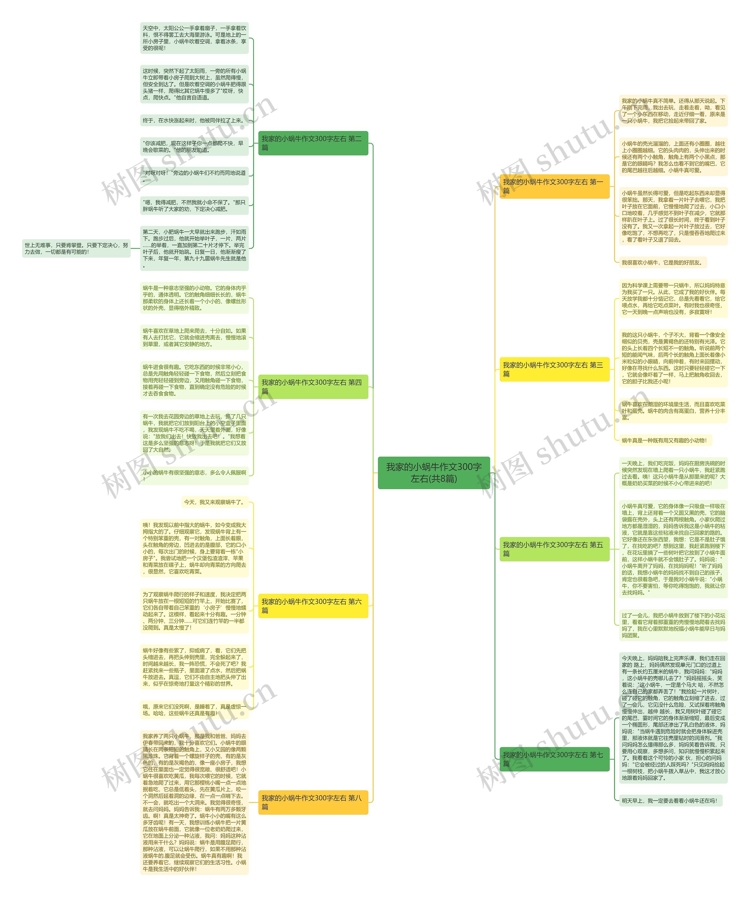 我家的小蜗牛作文300字左右(共8篇)思维导图