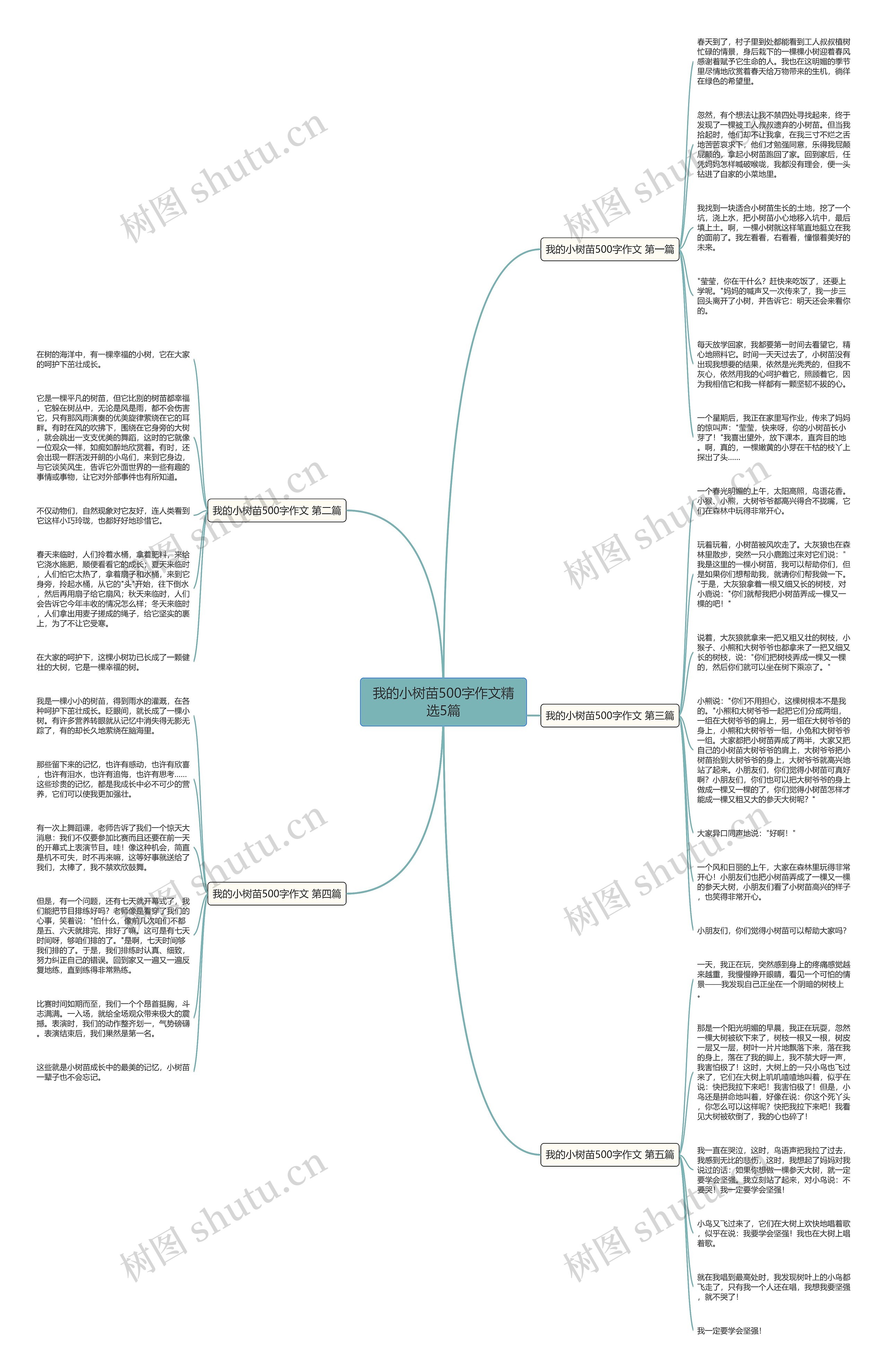 我的小树苗500字作文精选5篇思维导图